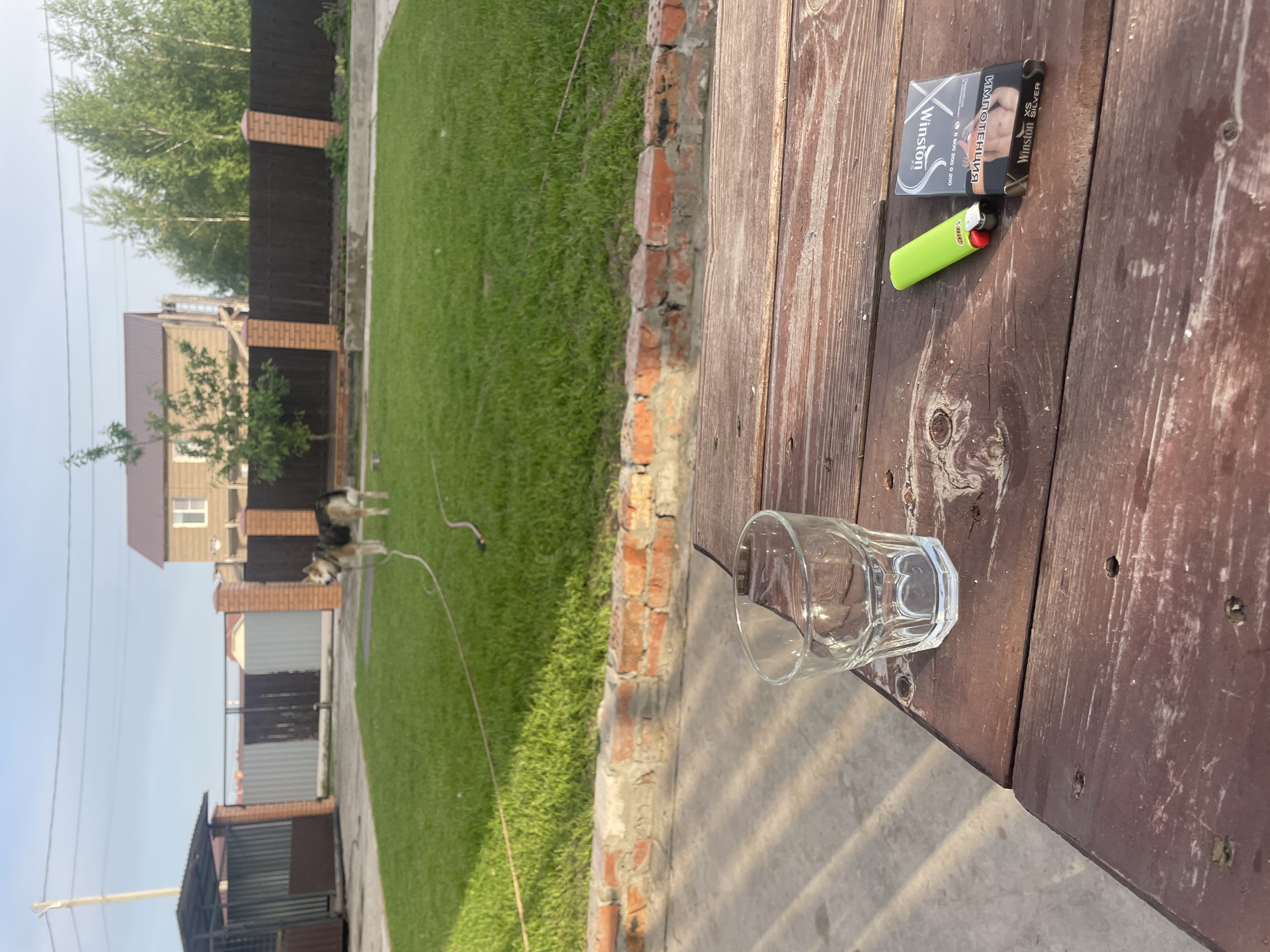 This image depicts an outdoor residential scene in Chulym, Russia, during daylight hours. In the foreground, a weathered, dark-stained wooden table holds an empty, clear glass tumbler, a neon green BIC lighter, and a partially opened black pack of Winston XS Silver cigarettes, with Russian text visible.
The midground features a well-maintained green grass lawn, bordered by a low, rustic brick wall and a concrete pathway. A light-colored hose is extended across the lawn. A medium-sized dog, resembling a German Shepherd mix with tan, black, and brown fur, stands on the grass, appearing to be tethered by a thin line from its collar.
The background shows various elements of a residential property. On the left, a corrugated metal enclosure is visible alongside a paved area leading to a two-tone metal gate with brick pillars. To the right, a solid dark wooden fence with brick pillars encloses part of the property. Several houses are visible, including a two-story building with light-colored siding and a brown roof. Deciduous trees, including a smaller specimen in front of a house and a dense cluster of taller trees, are present. The sky is light blue with a faint haze. A utility pole and overhead lines are visible on the far left.