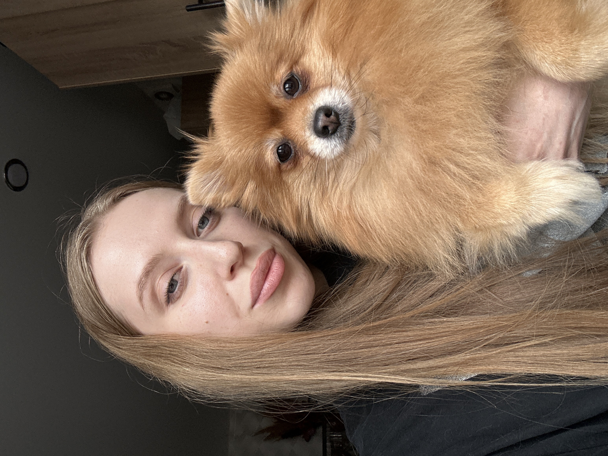 The original image, rotated 90 degrees clockwise, captures a close-up portrait of a young woman and a Pomeranian dog interacting. The scene appears to be indoors, likely in a home setting in Chaikovsky, Russia.
The woman is positioned on the left side of the frame (when viewed with correct orientation), looking directly at the camera. She has long, straight, light blonde or light brown hair that flows down her left side. Her complexion is fair with visible freckles, and her eyes are light-colored, possibly blue or grey. Her lips are slightly parted, revealing a light pink lipstick, and her expression is neutral. She wears a dark garment, likely a shirt or hoodie, visible around her shoulder and arm.
Resting on or immediately beside the woman's head and hair is a fluffy, light brown Pomeranian dog. The dog's face is front and center, with dark, round eyes, a black nose, and lighter fur around its muzzle, giving it an engaged and curious expression. Its thick fur is a dominant feature, covering most of its body. A small, lighter, and less furry patch of skin is visible on its underside, suggesting a recent grooming or natural variation.
In the background, above the woman and dog, there is a light-colored wooden surface, possibly a shelf or part of a furniture unit. To the left of the subjects, a dark, plain wall is visible, featuring a circular black object that could be a fixture or decor. There is no visible text in the image. The moment captures an intimate and affectionate interaction between the pet and its owner.
