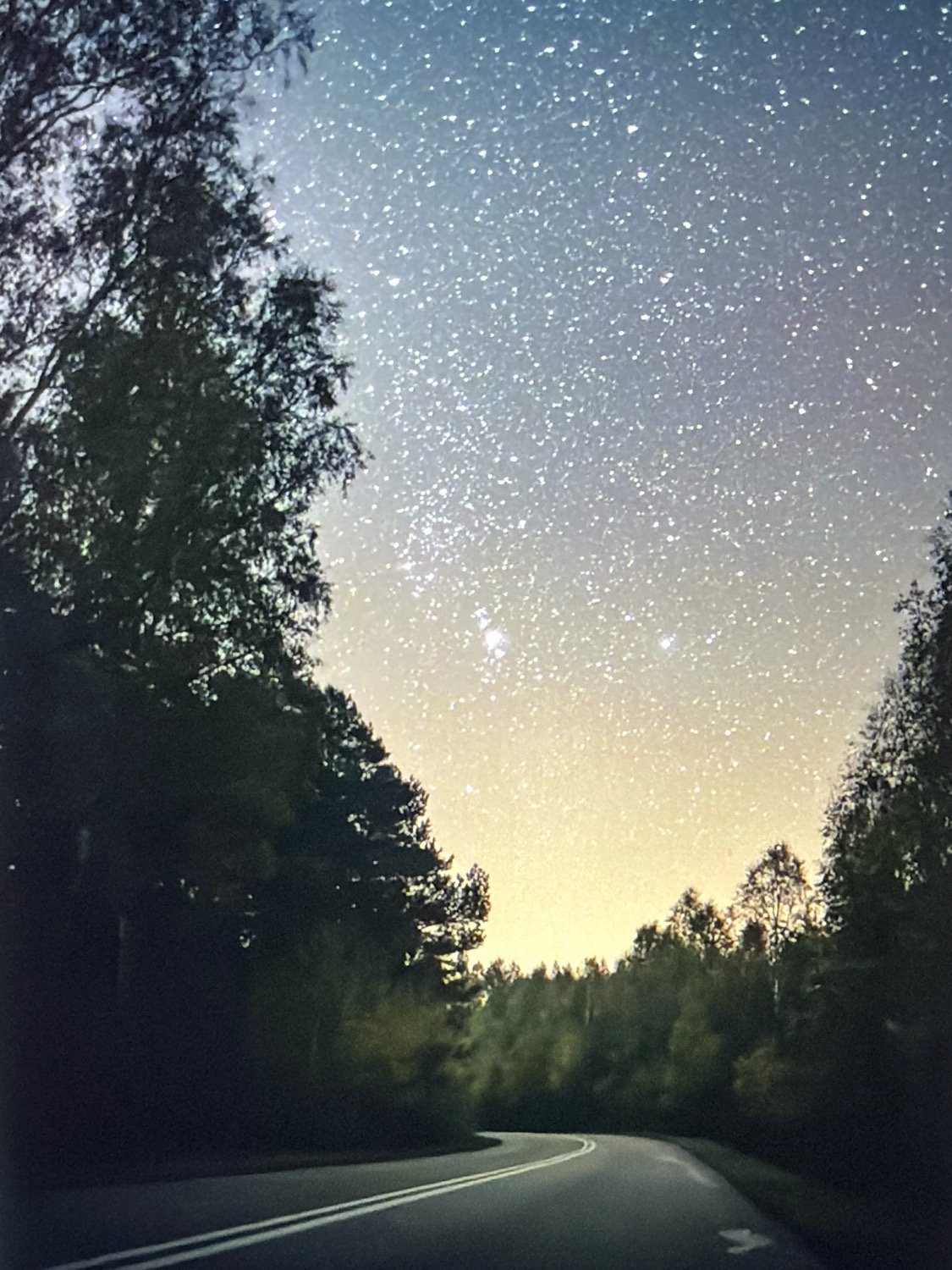 The image depicts a road winding through a forested area under a starry night sky. Silhouetted trees line both sides of the road, with the branches of a large tree visible in the foreground on the left. The road itself has white lane markings. The sky is filled with a multitude of stars, with a gradient of color from a deep blue at the top to a pale yellow near the horizon. There are no people, animals, or man-made structures other than the road visible in the image. The location is identified as Kafr Yasif, Israel.