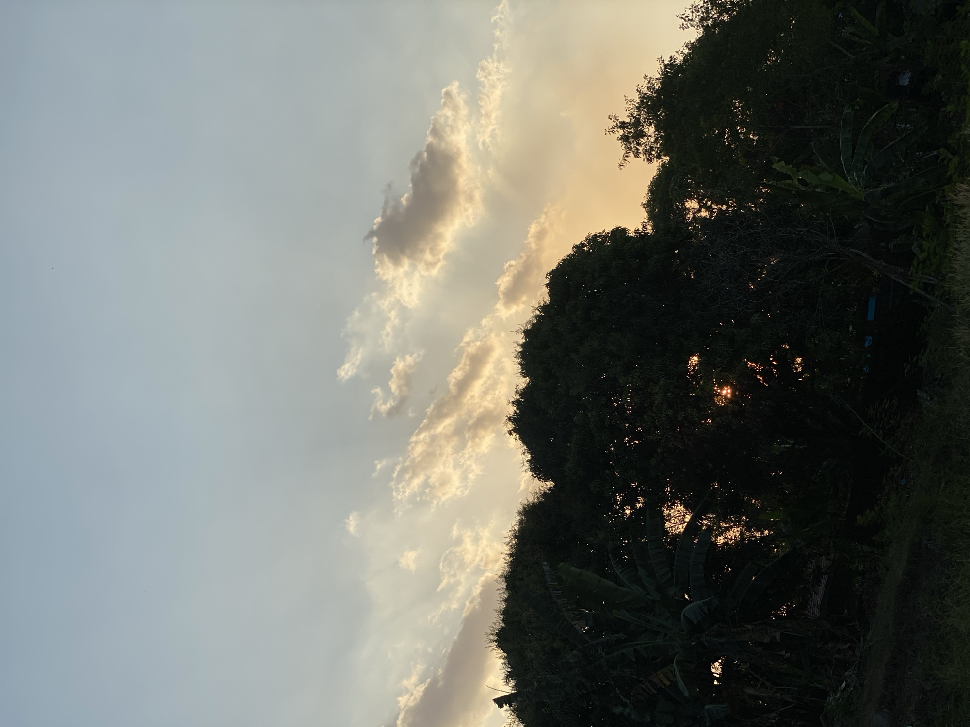 The image depicts a silhouetted tree line against a dusky sky, likely taken at dusk in Banjarbaru, Indonesia. The sky is a gradient of soft blue and warm orange, with scattered clouds catching the last rays of the setting sun, creating a dramatic effect. The trees are dark and dense, obscuring much of the landscape behind them, but hints of sunlight pierce through the foliage, suggesting a tropical setting. The foreground is dark and out of focus, with some greenery visible. There are no people or animals visible in the frame.