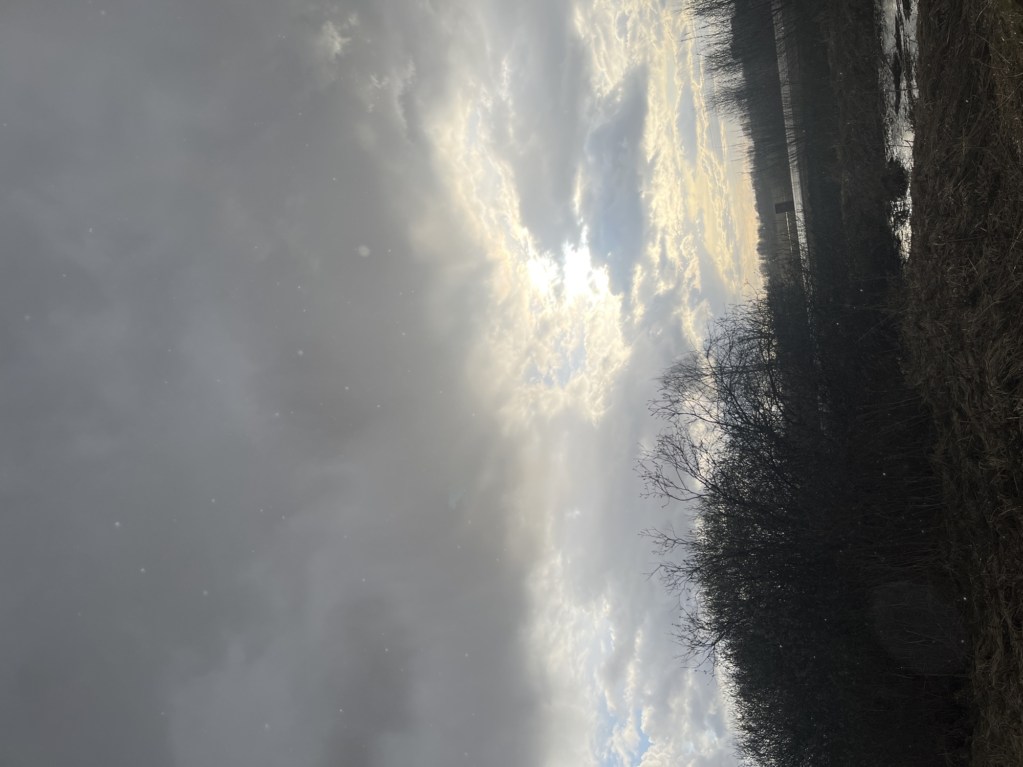 The image shows a landscape scene, potentially near Razdol'e, Russia, given the prompt. The sky is overcast with a mix of dark gray and lighter, sunlit clouds. The sun is partially obscured by the clouds, with rays of light breaking through. The foreground includes what appears to be dense vegetation, possibly bushes and marsh-like terrain, extending along the right side of the frame. The vegetation is mostly dark in color, seemingly dormant or dead, as is typical of late fall or winter. The composition suggests a low-angle perspective. The overall mood is somber.