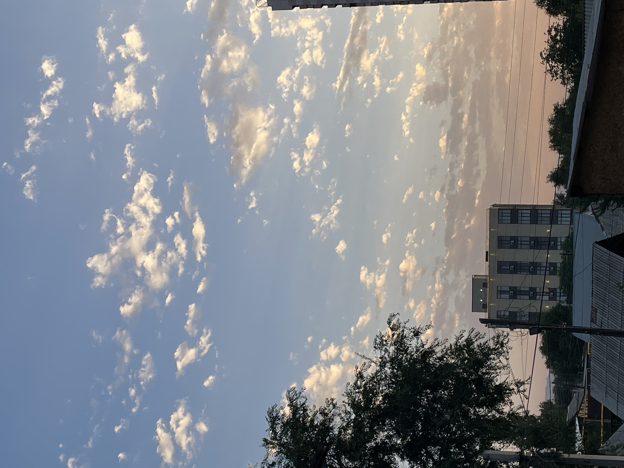 An outdoor, vertical, eye-level shot captures a dusky sky filled with scattered, cumulus clouds that are illuminated with a warm, golden light. The clouds are predominantly white, with some tinges of orange and pink, suggesting the sun is near the horizon. Below the sky, the scene transitions to a muted urban landscape. In the mid-ground, a modern, multi-story building with numerous windows stands out against the softer hues of the sky. The building appears to be constructed of light-colored materials, possibly concrete or stucco, with dark-framed windows. To the left of the building, a large, leafy tree with dark green foliage dominates the left side of the frame, its branches reaching towards the sky. In the foreground and lower portion of the image, rooftops of residential structures are visible, some with corrugated metal surfaces. Utility poles and power lines crisscross the lower half of the frame, indicating the presence of infrastructure. In the far distance, a faint outline of mountains can be discerned against the horizon. The overall impression is of a peaceful, late evening or early morning scene in an urban environment, possibly Almaty, Kazakhstan, given the architectural style and the surrounding natural landscape. There are no people or animals visible in the image, and no specific actions or interactions are depicted.