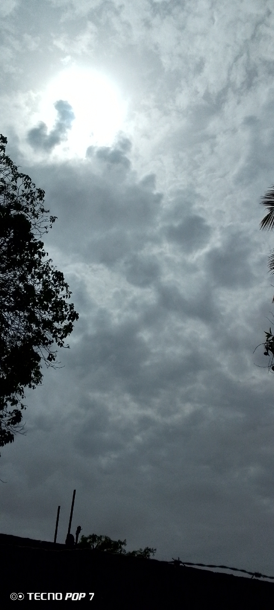 The image captures a cloudy sky in what is likely Altagracia, Venezuela. The sun is visible through a break in the clouds, creating a bright, diffused light. The sky is filled with layers of grey clouds, indicating overcast conditions. Silhouetted trees are visible on the left and right sides of the frame. In the lower portion of the image, a darkened foreground includes structures such as poles, wires and the silhouette of tree or building elements against the sky. The text "TECNO POP 7" is in the bottom left corner, indicating the device used to take the picture.