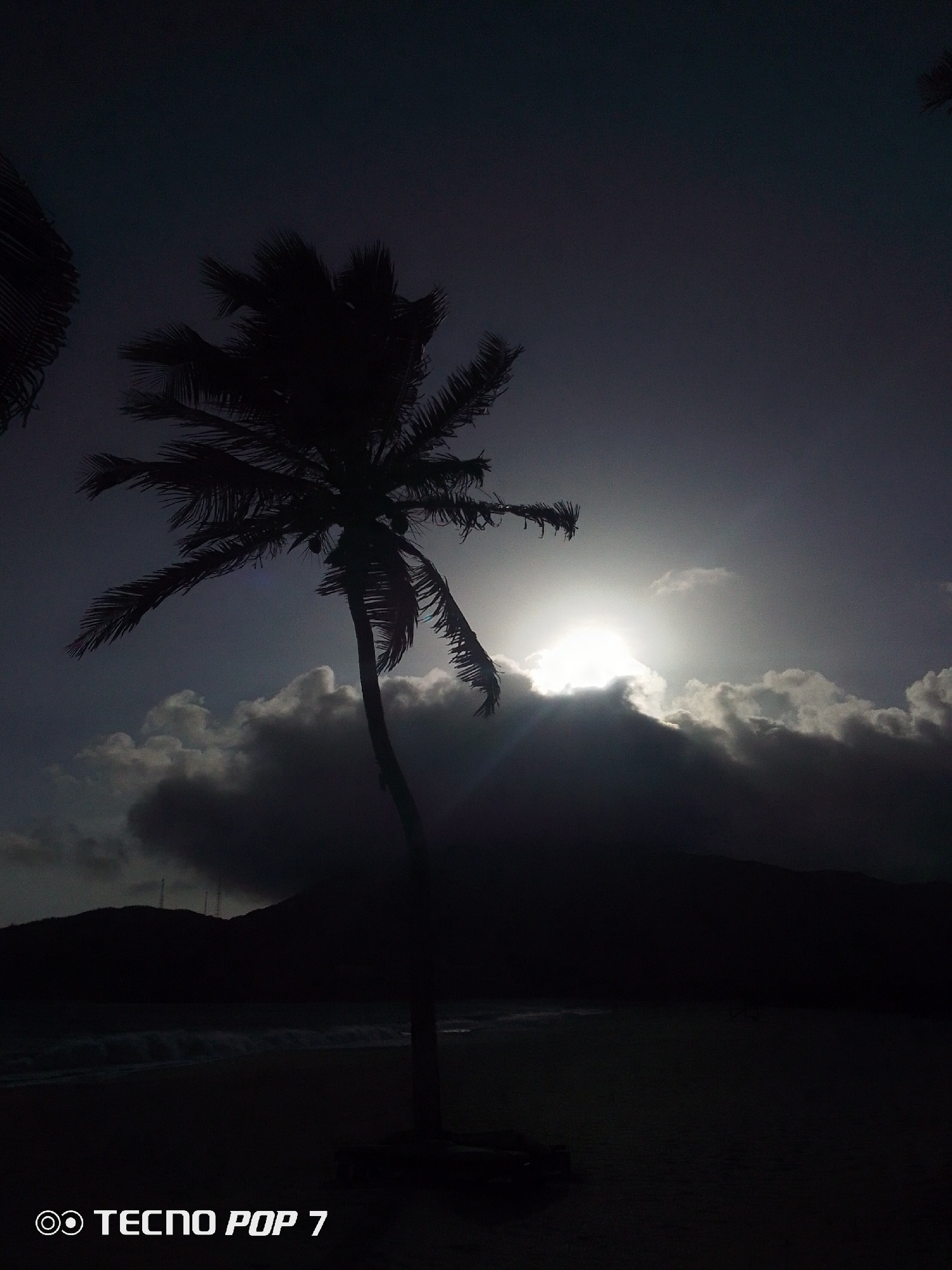 The image shows a silhouette of a palm tree against a cloudy sky with the sun breaking through the clouds. The scene appears to be a beach at dusk or dawn. In the background, there are dark shapes that could be hills or mountains. The beach is visible in the foreground with faint waves. The location is likely Pedro González, Venezuela, given the prompt. A "Tecno Pop 7" watermark is visible in the bottom left corner, likely from the camera used to take the photo.