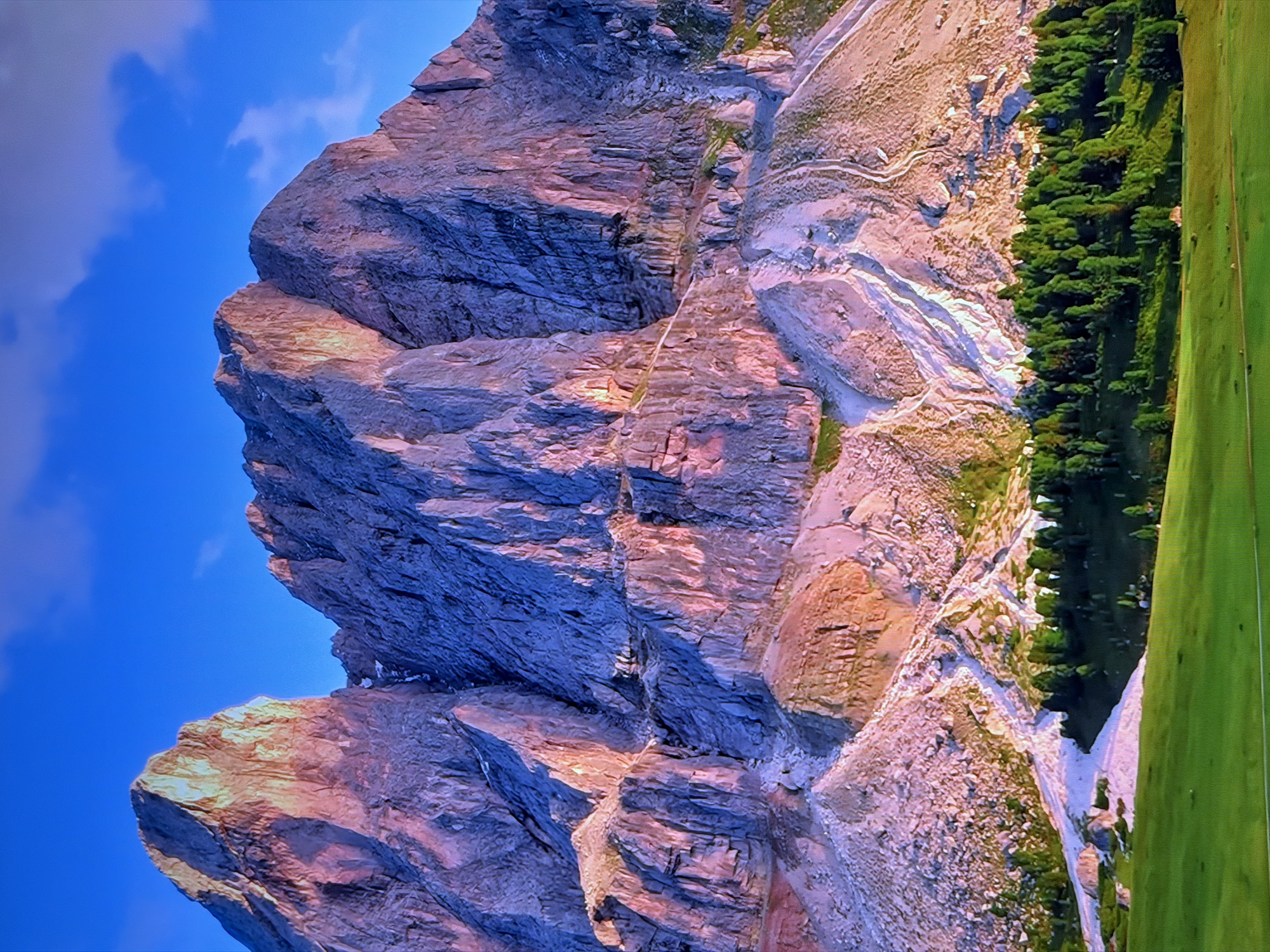 This is a landscape photograph of a majestic mountain range under a clear blue sky with scattered clouds. The mountains are rugged and rocky, with dramatic cliffs and peaks. The slopes are illuminated by the warm glow of what appears to be sunrise or sunset, casting pink and orange hues on the rock faces. In the foreground, there is a lush green meadow, and a dense forest of evergreen trees lines the base of the mountains. There are no people or man-made structures visible in the image. The scene depicts a natural, wild environment. There is no information provided that would suggest this location is in Chirchik, Uzbekistan.