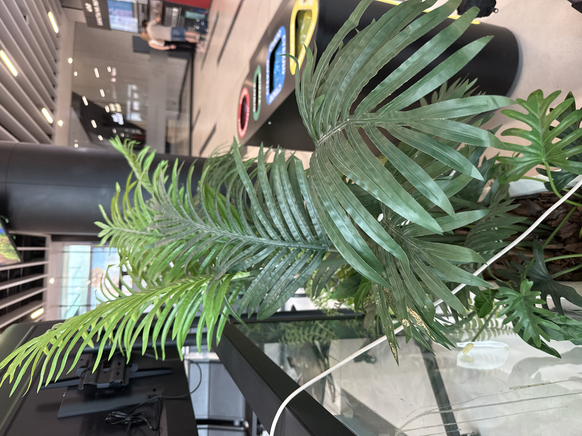 In the foreground, a large artificial plant with various types of green leaves, including palm-like fronds and broader, lobed leaves, is prominent. A white cord snakes through the plant's foliage. In the mid-ground, a black recycling bin with four distinct compartments—red, green, blue, and yellow—is visible. Behind the bin, two people are standing in what appears to be a public indoor space with tiled flooring and a modern ceiling structure. One person, wearing a light-colored t-shirt and shorts, is facing away from the camera and interacting with a display or kiosk. The other person, wearing a white top and dark bottoms, is partially visible. The background reveals architectural elements of a building, including large windows, columns, and lighting fixtures, suggesting an interior environment such as a shopping mall or transit hub. The scene is well-lit, likely by artificial indoor lighting. There is no specific indication of the location being in the city of Ob, Russia.