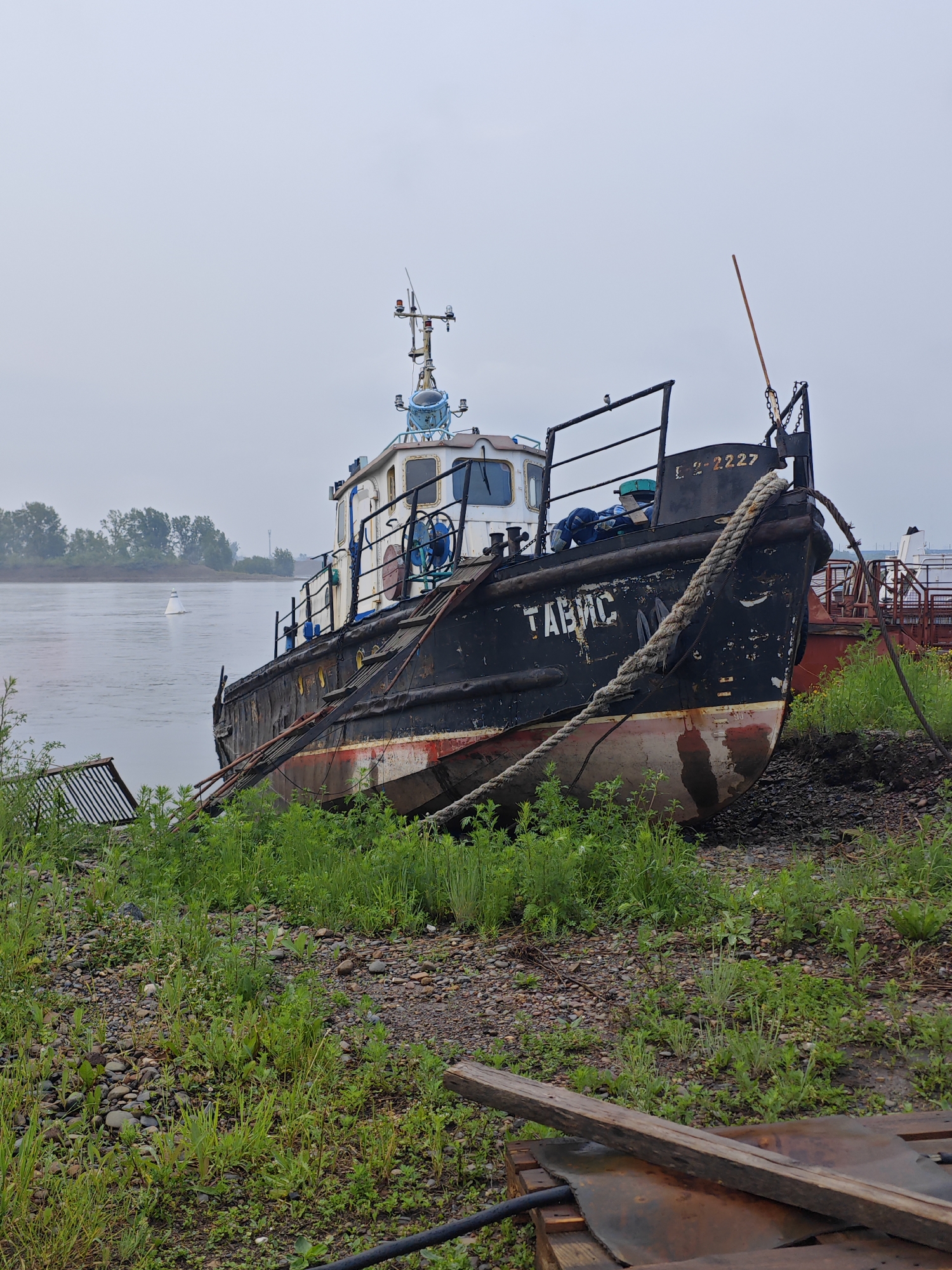 The image depicts a weathered, black tugboat, identified by the name "ТАВМС" on its hull, partially grounded on a rocky, overgrown shore. The boat, which has a registration number "L 2-2227", appears to be out of service, resting on its side with a thick rope secured to its bow. The vessel has a white upper structure with windows and a spotlight. In the background, a wide, calm river flows under an overcast sky. Trees line the distant bank, and a white buoy is visible in the water. The scene is likely located near the city of Krasnoyarsk, Russia, possibly on the Yenisei River, a significant waterway in the region. The environment suggests a disused port or shipyard area. No people are visible in the image.