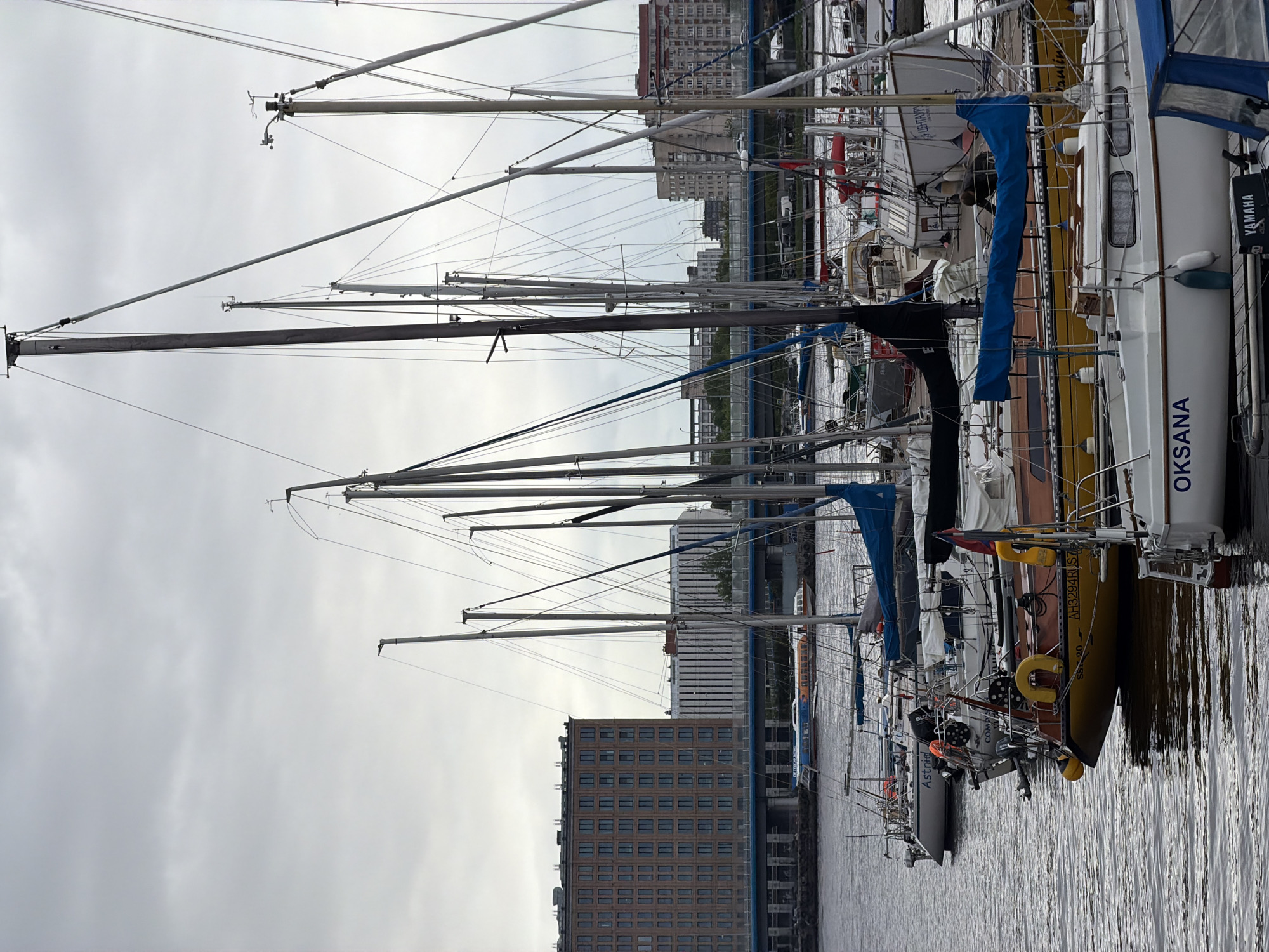 The image depicts a row of sailboats docked in a marina, with the cityscape of Saint Petersburg, Russia, in the background. The boats are various sizes and colors, with their masts creating a dense network of lines against the overcast sky. Several buildings are visible behind the boats, including a brick building and a multi-story white building. The water in the marina is calm, reflecting the boats and the sky. The name "OKSANA" is visible on the side of a white sailboat.