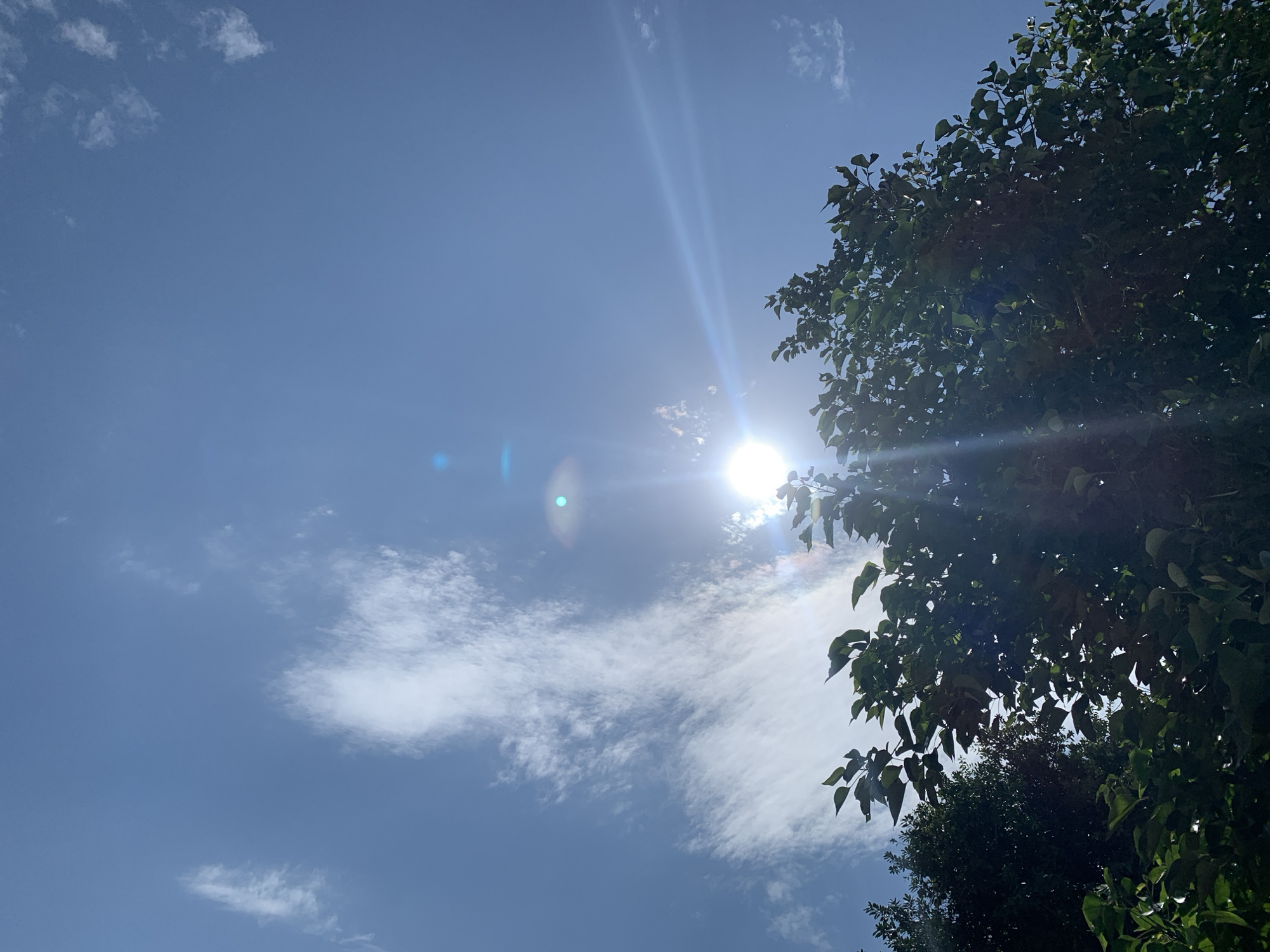 The image depicts a bright, sunny sky with some scattered clouds. The sun is visible and appears to be shining through the leaves of a tree in the foreground, creating lens flare effects. The tree's foliage is dark green and fills the right side of the frame. The sky is a clear blue, with wispy white clouds spread across it. There are no people or identifiable structures visible. The scene is characteristic of an outdoor environment, likely a park or a residential area in Kuru Karama, Nigeria, on a clear day.