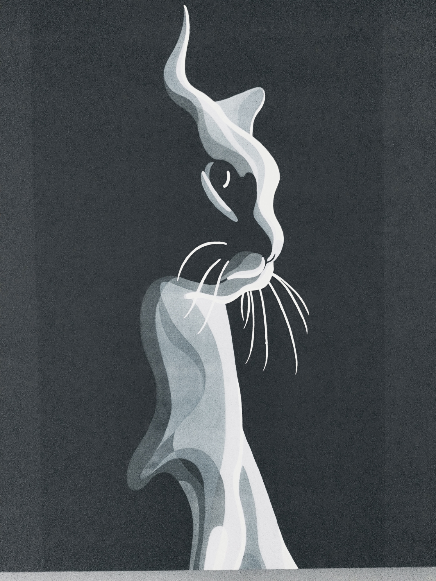 The image is a digital illustration in grayscale with a dark gray textured background. The primary subject is a stylized, abstract representation of a cat's head and upper body, rendered in shades of white and light gray. The cat is depicted in profile, facing left, with a sleek, flowing form. Its ear is elongated and curves upward. Delicate white lines represent the cat's whiskers. The cat's form appears almost ethereal, with smooth, undulating lines and subtle shading that creates a sense of depth. The illustration is positioned centrally on the dark background, with a pale gray horizontal line visible at the very bottom of the image, suggesting a surface or base. There are no people, animals, or discernible objects that would indicate a specific location in Skadovsk, Ukraine, or any other city. The image is purely abstract art.