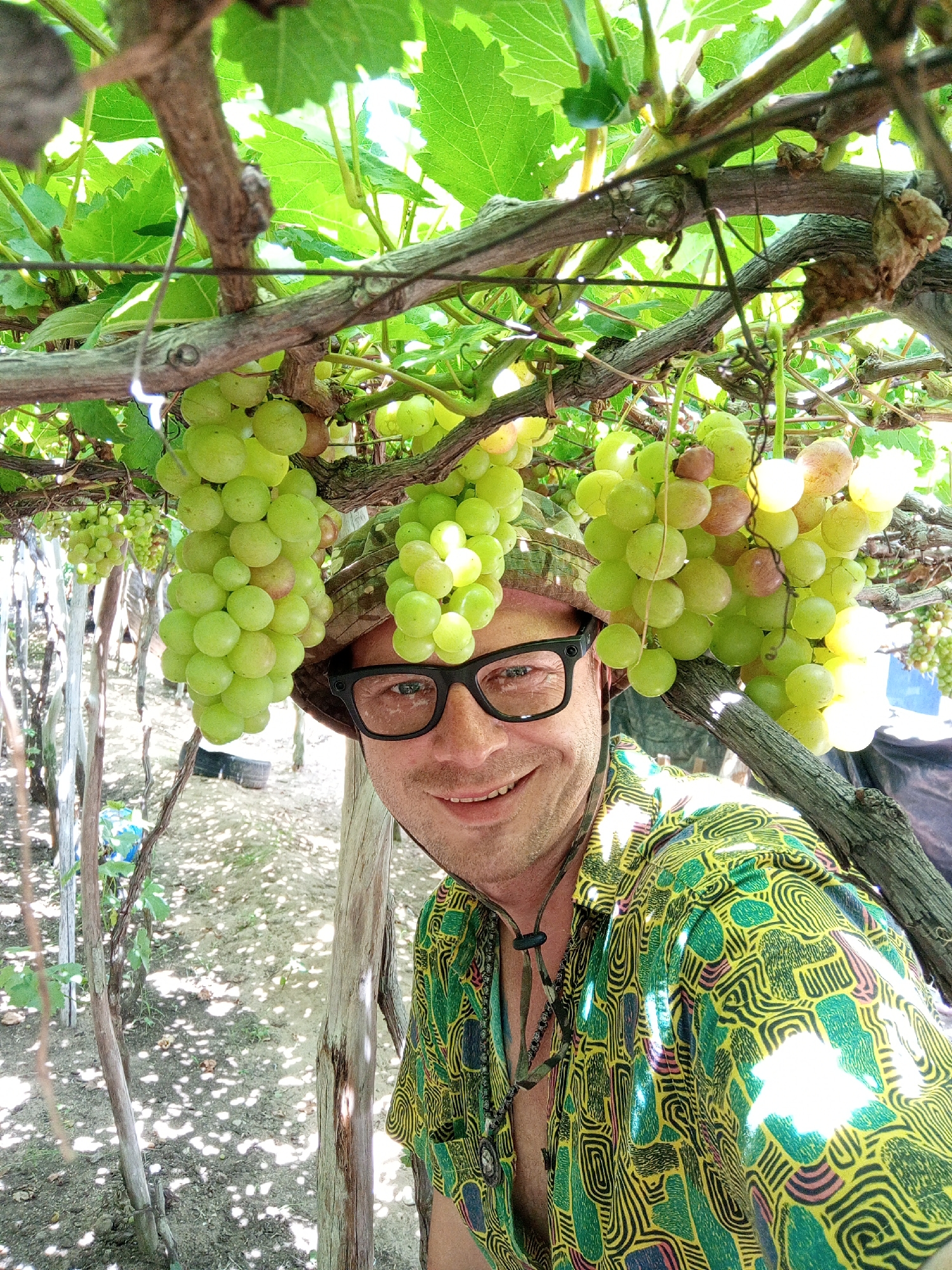 A man wearing glasses, a camouflage hat, and a green and yellow patterned shirt is standing under a grape vine. Large bunches of green grapes are hanging above him and to his sides. He is smiling at the camera. The background shows a dusty ground with dappled sunlight filtering through the leaves of the vine. The location is Vĩnh Hải, Vietnam.