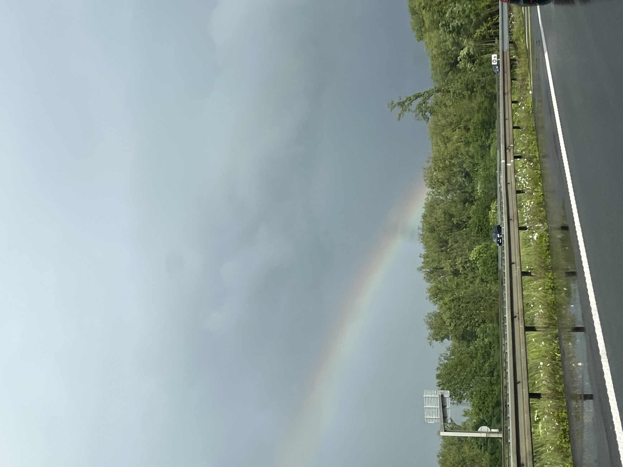 The image shows a section of highway next to a guardrail with a background of trees and a rainbow in the gray sky. The highway appears wet, and there are small white flowers growing beside the guardrail. A sign is visible near the trees. The overall color palette is muted. There is no discernible evidence to confirm the location within the city of Richemont, France.