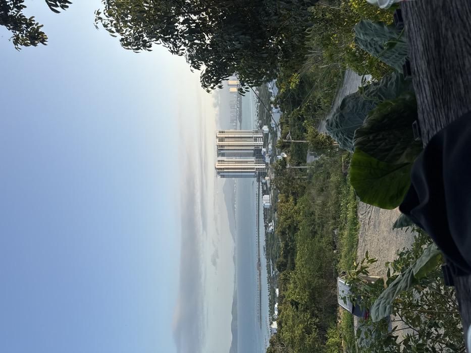 The image displays a panoramic, elevated view of Nha Trang, Vietnam, observed from a hillside northwest of the Hon Chong Promontory. The scene is illuminated by late afternoon or early evening light, under a clear blue sky with scattered, thin, horizontal clouds in the upper portion.
In the immediate foreground, a dark wooden surface occupies the bottom edge, partially covered by a dark fabric item and a partially visible clear plastic cup with a red rim on the right. Large green leaves and dense green shrubbery partially obscure these foreground elements and extend into the mid-ground.
The mid-ground features a dirt path winding downwards through lush green vegetation. A light-colored SUV or small truck is parked partially obscured by foliage on the left side of this path.
The background reveals an expansive blue bay or ocean. A prominent, long, curved breakwater extends into the water, protecting a harbor where several boats are visible near the shore. Along the coastline, the city of Nha Trang is developed with numerous high-rise buildings. A distinctive cluster of tall, modern, light-colored towers, identified as the Mường Thanh Viễn Triều complex, stands prominently near the water. Further city development stretches into the distance, with mountains forming the distant horizon across the bay. No individuals are visible in the frame.