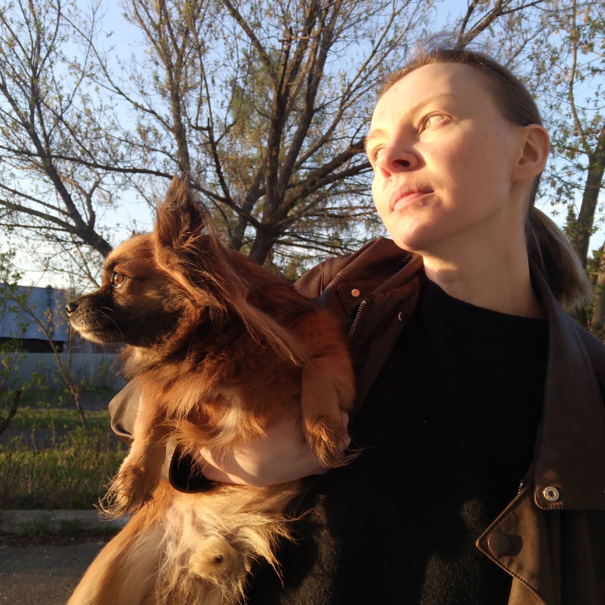 A woman stands holding a long-haired Chihuahua in her arms in what appears to be the city of Chaikovsky, Russia. The woman wears a black shirt under a brown leather jacket, and her blonde hair is pulled back in a ponytail. She is looking upwards and to the right, bathed in the warm light of the setting sun. The dog in her arms is brown and is also looking to the left, appearing watchful. The background features bare trees against a blue sky, suggesting a late autumn or early spring setting. The edge of a blue building is visible in the background to the left, and a paved surface is in the foreground.