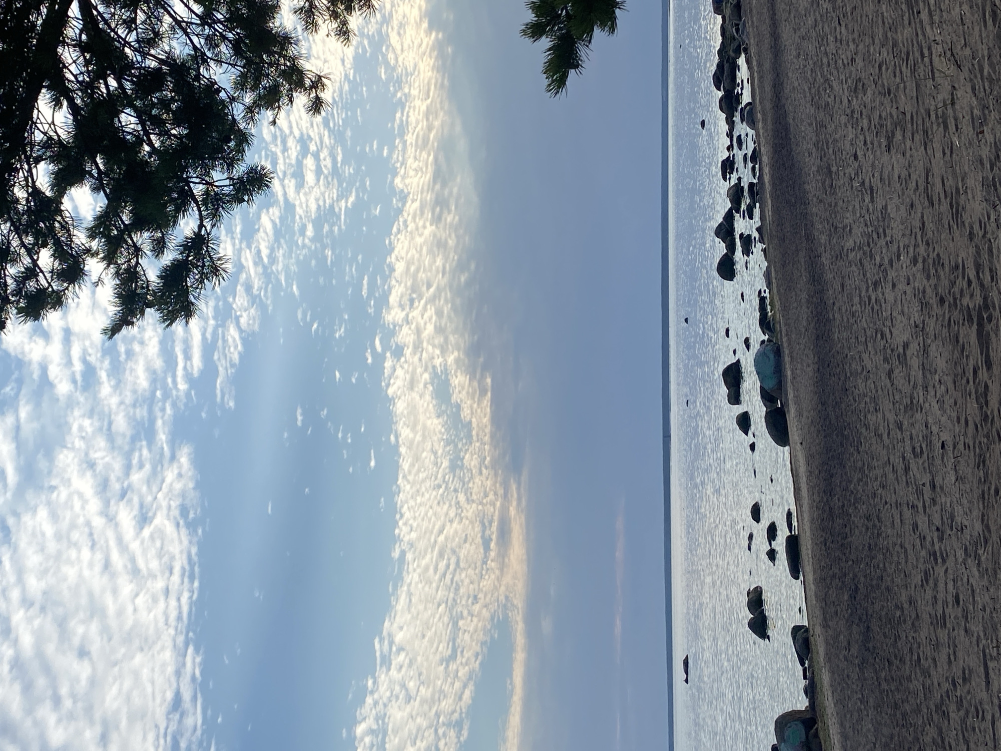 The image depicts a serene coastal landscape in Baltiiskoe, Russia. The scene is dominated by a calm body of water reflecting the sky, with a sandy beach in the foreground. Scattered along the shoreline and partially submerged in the water are numerous dark, rounded rocks of varying sizes. The sky above is a soft blue, partially filled with textured white clouds that create a dappled effect. A branch of a pine tree, silhouetted against the sky, extends into the upper right corner of the frame. The overall atmosphere is tranquil and natural. There are no people or animals visible in the image.