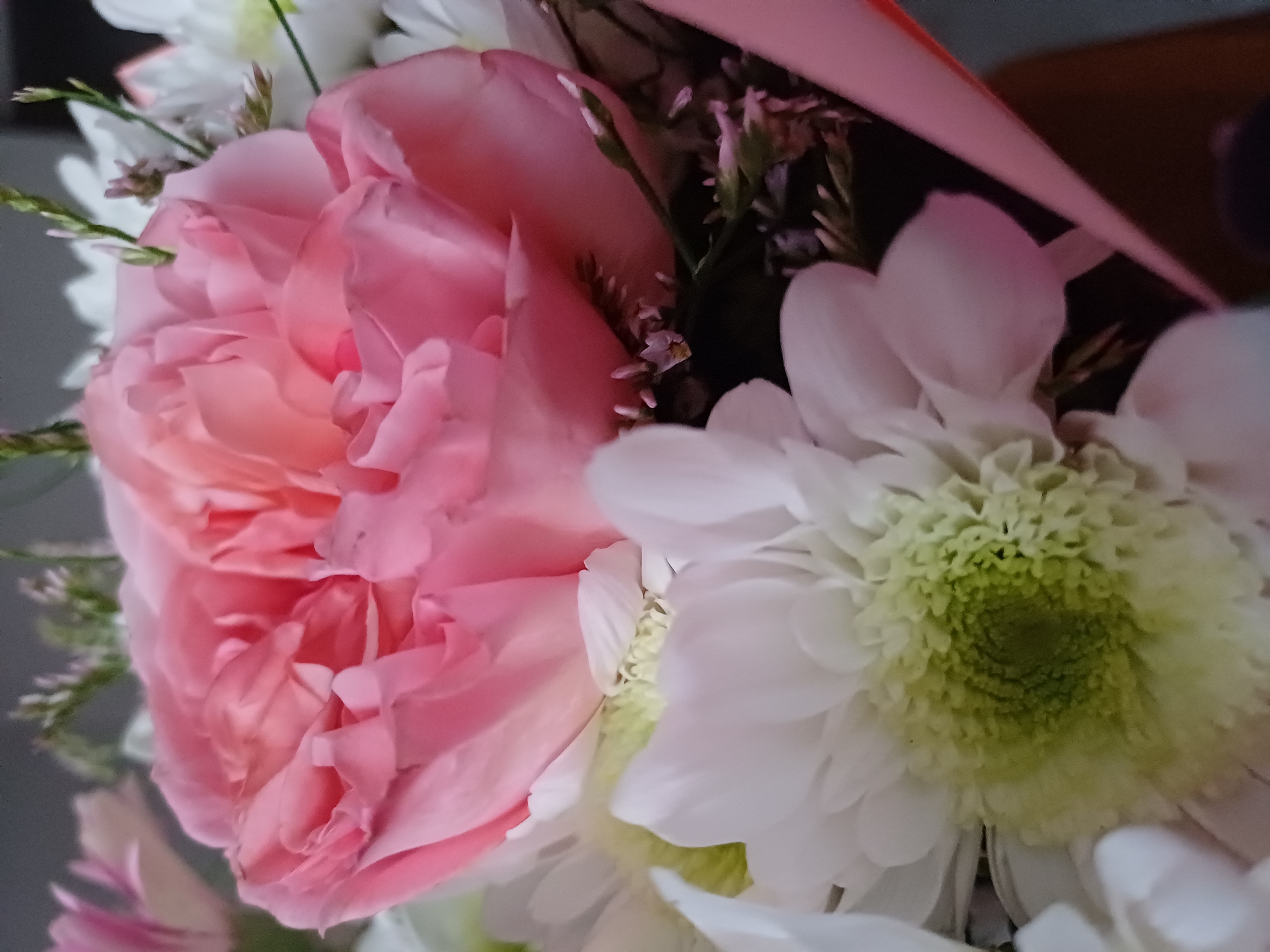 A close-up, overhead shot features a bouquet of flowers against a dark, out-of-focus background. The bouquet is dominated by a large, soft pink rose with ruffled petals in the center. To the left and bottom of the rose are white daisy-like flowers with vibrant green centers. A thin, light pink ribbon wraps around the arrangement on the right side. The lighting is soft and diffused, highlighting the delicate textures of the petals. No people or specific location details are visible.