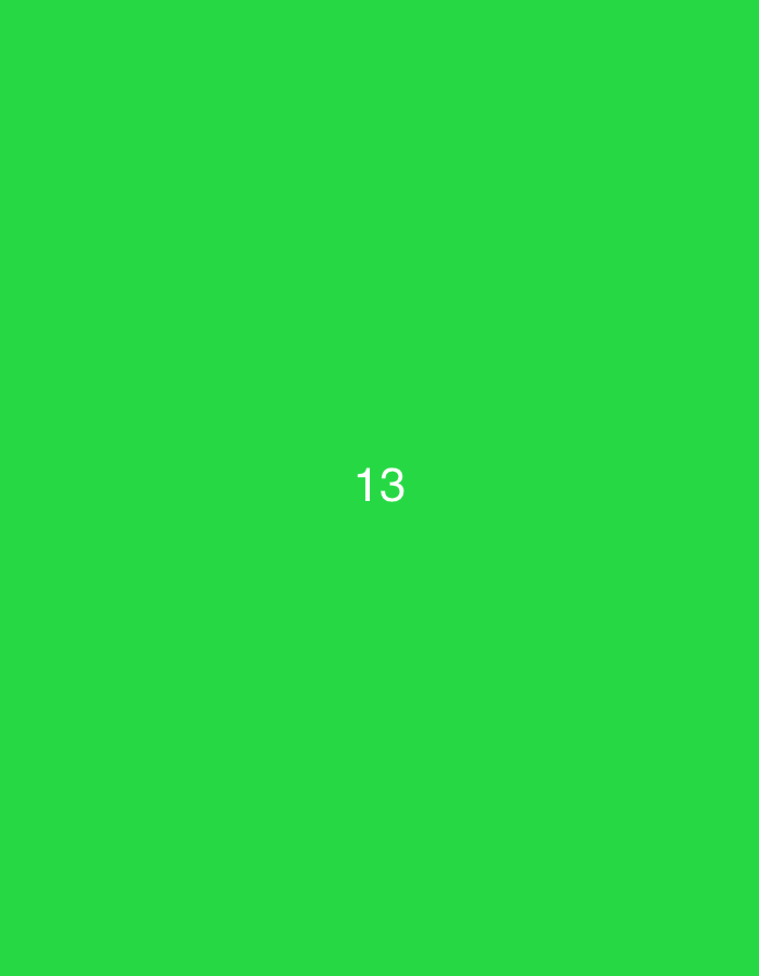 The image displays a uniform green background with the numeral "13" centrally positioned in white, sans-serif text. No additional subjects, objects, individuals, actions, or environmental details are discernible. The image provides no visual indicators of a specific geographic location, including any city such as Santa Ana, Venezuela.