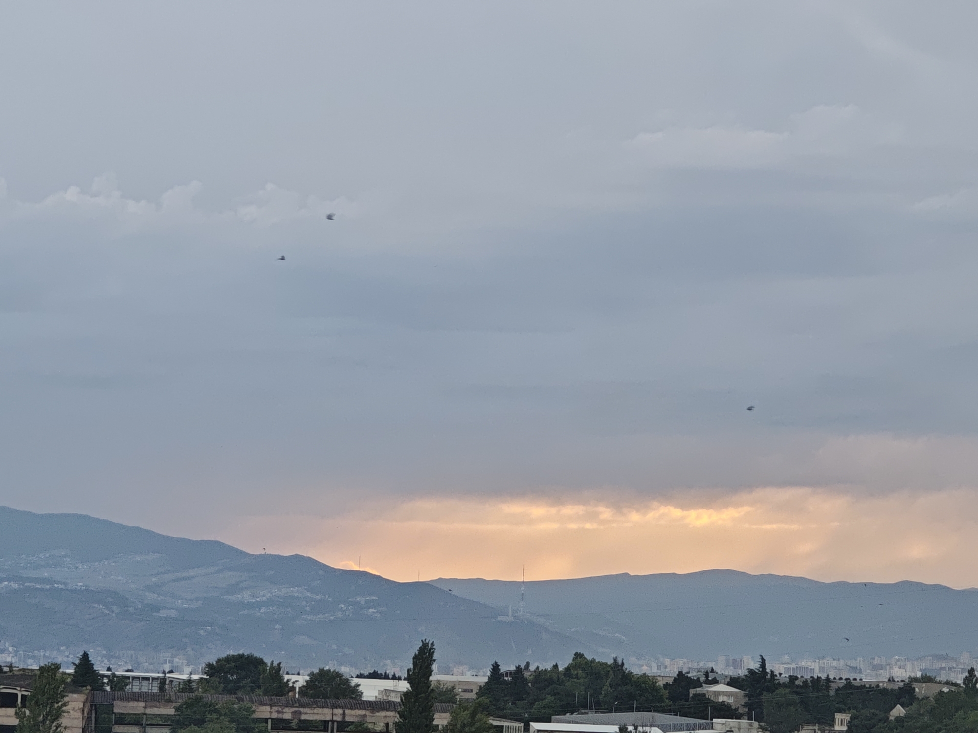 This is an outdoor, eye-level photograph taken at dusk, likely in Tbilisi, Georgia. The scene depicts a panoramic view with a mountain range in the background, silhouetted against a cloudy sky tinged with the warm hues of sunset. The sky transitions from a pale orange glow near the horizon to a muted grey overhead, with scattered clouds.
In the mid-ground, the undulating slopes of the mountains are visible, dotted with some buildings and what appear to be communication towers. A city skyline can be discerned in the distance, nestled at the base of the mountains. In the foreground, the tops of trees and the dilapidated structures of what might be an industrial site are present. The overall mood is serene and quiet, characteristic of twilight.
Several birds are visible in flight against the vast sky, adding a touch of life to the otherwise still landscape. One bird is captured near the top of the frame, and others are scattered throughout, particularly over the distant city and mountains. The lighting suggests it is either early morning or late evening, with the soft, diffused light indicating overcast conditions or the lingering rays of the sun. There is no visible text in the image.