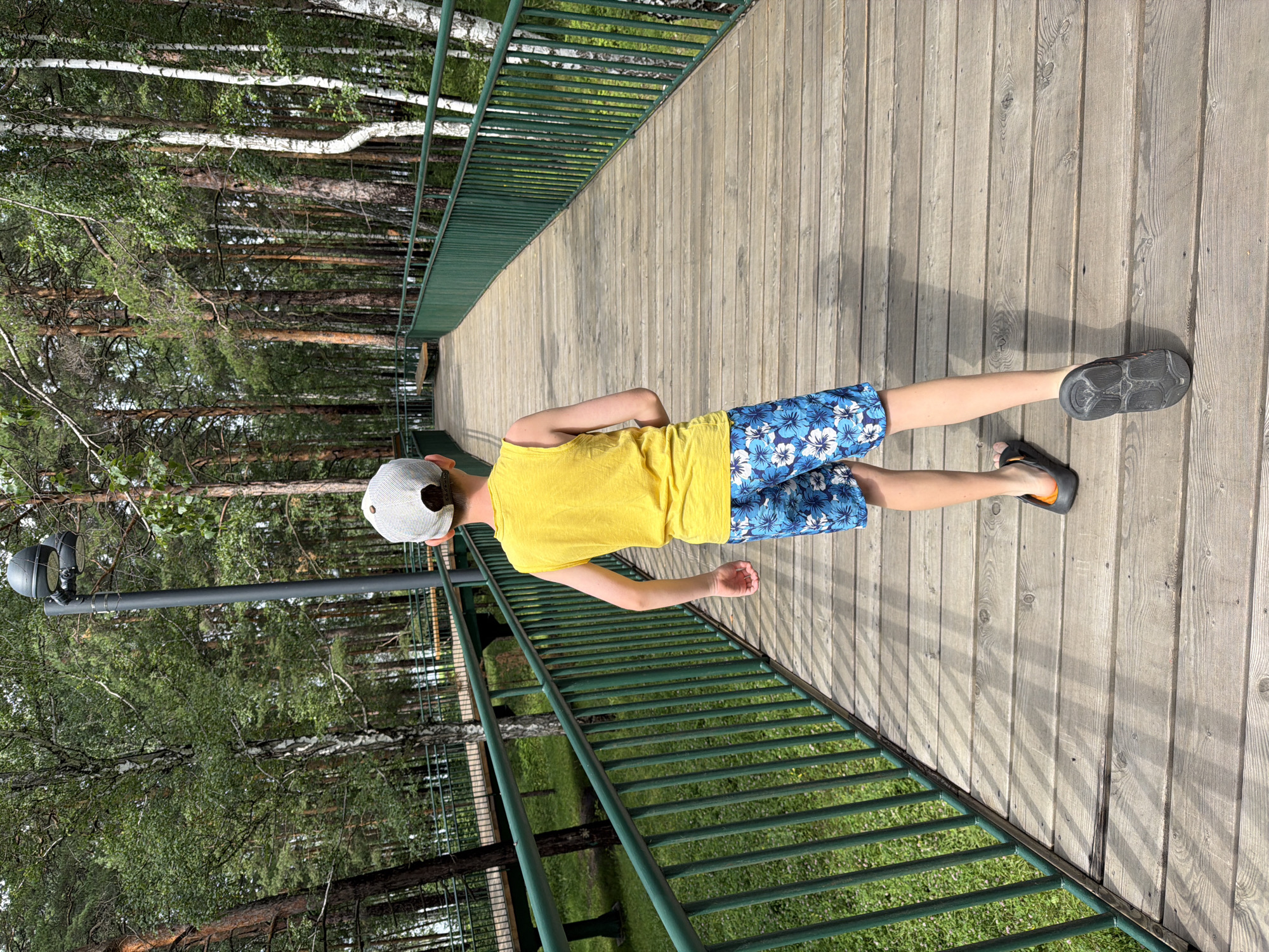 The image shows a young boy walking on a wooden boardwalk in a forested area. He is wearing a yellow tank top, blue floral swim trunks, and dark flip-flops. The boardwalk is bordered by a green metal railing and surrounded by tall trees. In the background, another section of the boardwalk is visible, along with a bench. The scene appears to be in a park or natural reserve.
The location is the "Park of Birds and Butterflies" in Zarechny, Russia. This park is known for its elevated boardwalks that wind through the forest, offering visitors a unique perspective of the natural environment. The boardwalks are constructed from wood and are complemented by green railings. The park is situated within a forest, featuring a mix of pine and birch trees. The specific area captured in the image showcases the typical landscape and infrastructure of the "Park of Birds and Butterflies."