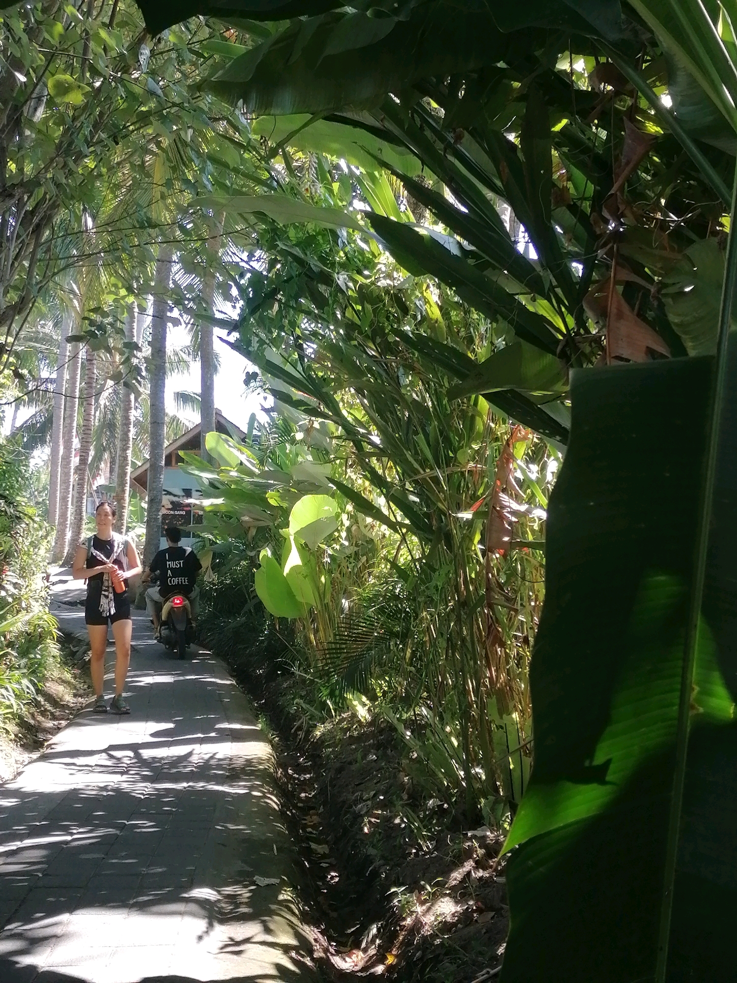 A woman walks on a paved path surrounded by lush greenery, with palm trees and tropical foliage. She is wearing black shorts and a black tank top, with a patterned scarf draped over her shoulders, and holding an orange water bottle. Behind her, a person on a scooter rides away from the camera. The scooter rider is wearing a black t-shirt with white text that reads "MUST I TRUST A COFFEE." In the background, a building with a sloped roof is visible. The scene appears to be in a tropical location, likely a pathway in a resort or a residential area in Ubud District, Indonesia, given the presence of palm trees and the style of the architecture. The lighting suggests it is daytime, with dappled sunlight filtering through the leaves.