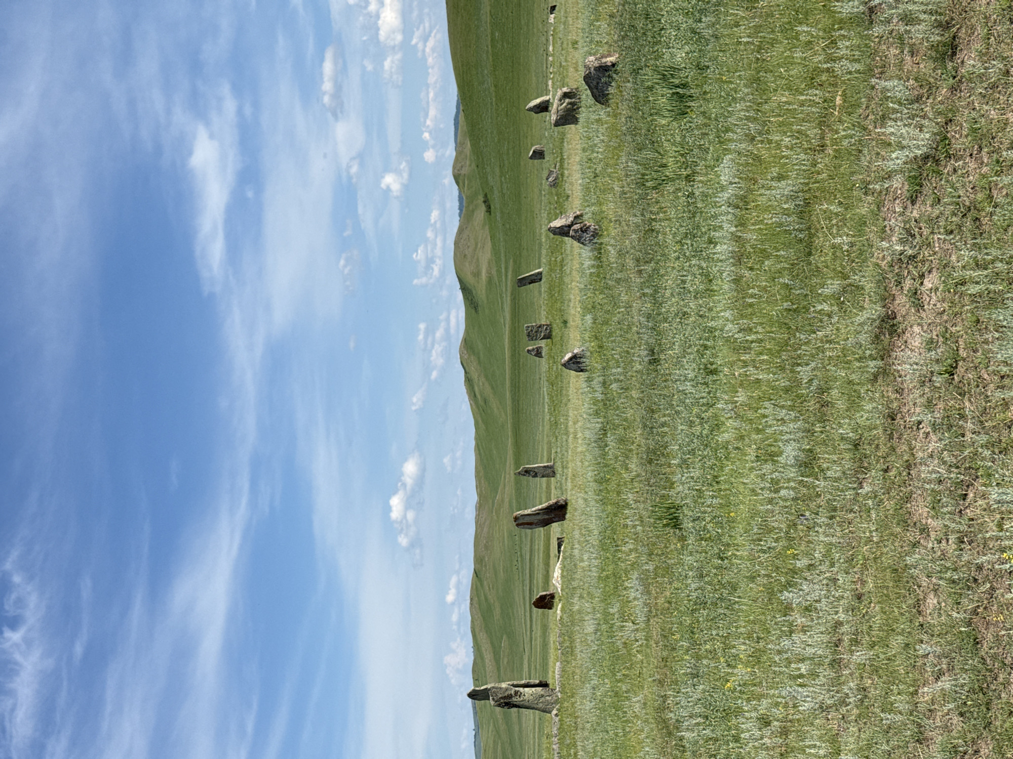 The image depicts a landscape scene in the vicinity of Safronov, Russia. The foreground is dominated by a vast, grassy plain with scattered wildflowers and dry patches of earth. In the midground, a collection of ancient standing stones, or menhirs, are arranged in a field. These stones vary in size and shape, with some standing tall and others lying on the ground. Beyond the stones, rolling green hills form the background, under a bright blue sky dotted with white, wispy clouds. The overall atmosphere is one of ancient history and natural beauty.