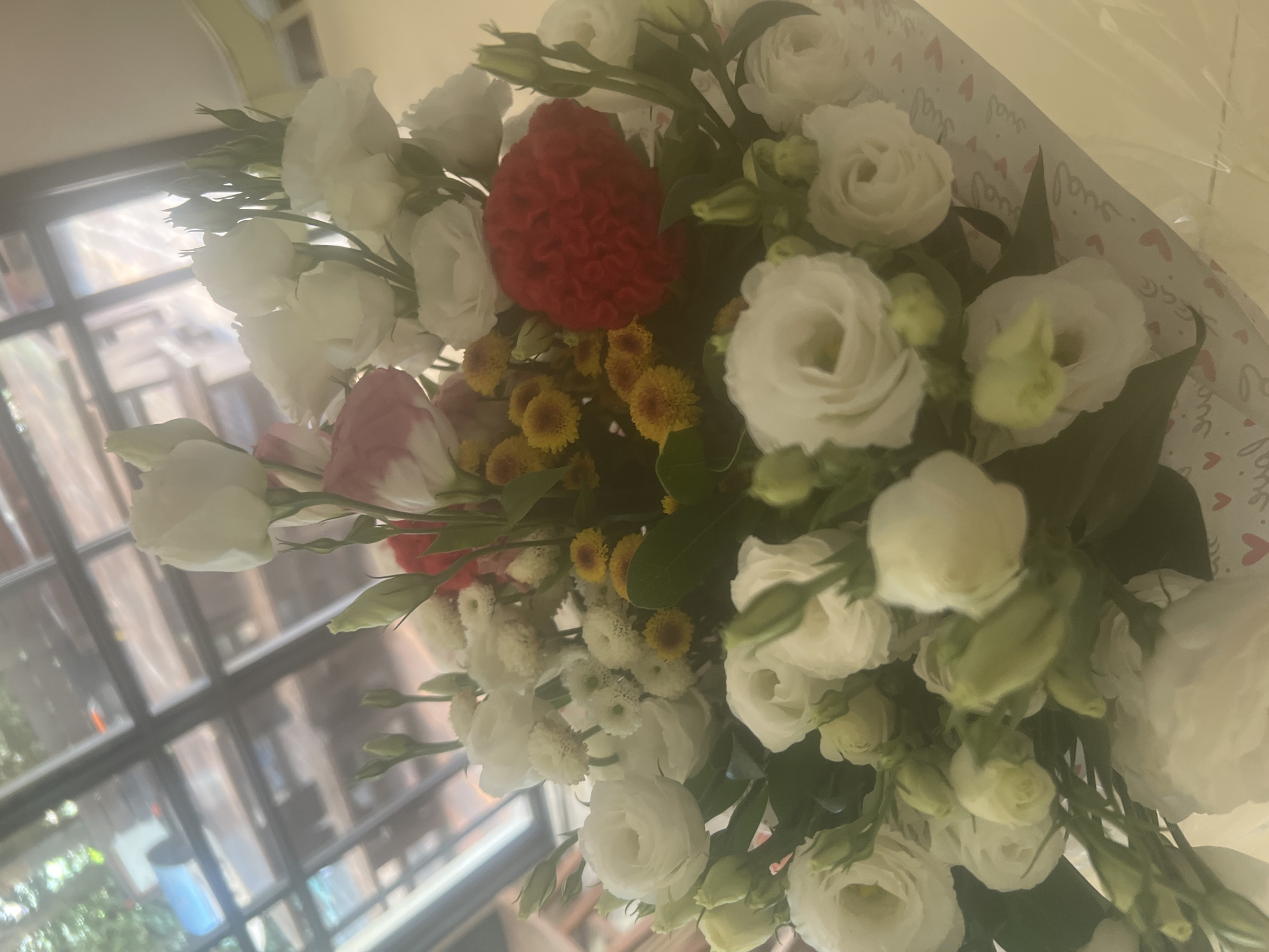 A close-up shot shows a bouquet of flowers with white roses and small yellow flowers, with a hint of pink and red flowers. The flowers are arranged in a clear plastic wrap, with a patterned paper wrapping visible at the bottom. The background is blurred, showing a reflection of a skylight with a faint view of trees and buildings outside. The scene appears to be indoors, likely a room with natural light from above. There are no people or animals visible in the image. The location of Hof HaCarmel Regional Council, Israel is not depicted in the visual information of the image.