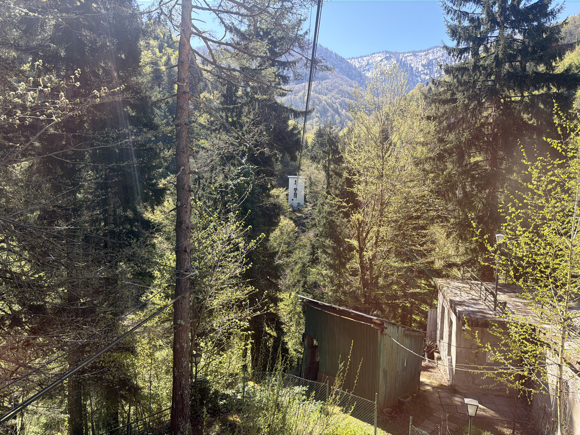 The image shows a forest scene with buildings in Nunisi, Georgia. The foreground includes a corrugated metal shed and a concrete building with a flat roof and a railing. There are trees and vegetation surrounding the buildings, with a mix of deciduous and coniferous trees. In the background, there are mountains with some snow on the peaks. Overhead, power lines are visible running through the trees. The overall scene depicts a rural or semi-rural environment within the mountainous region of Nunisi.