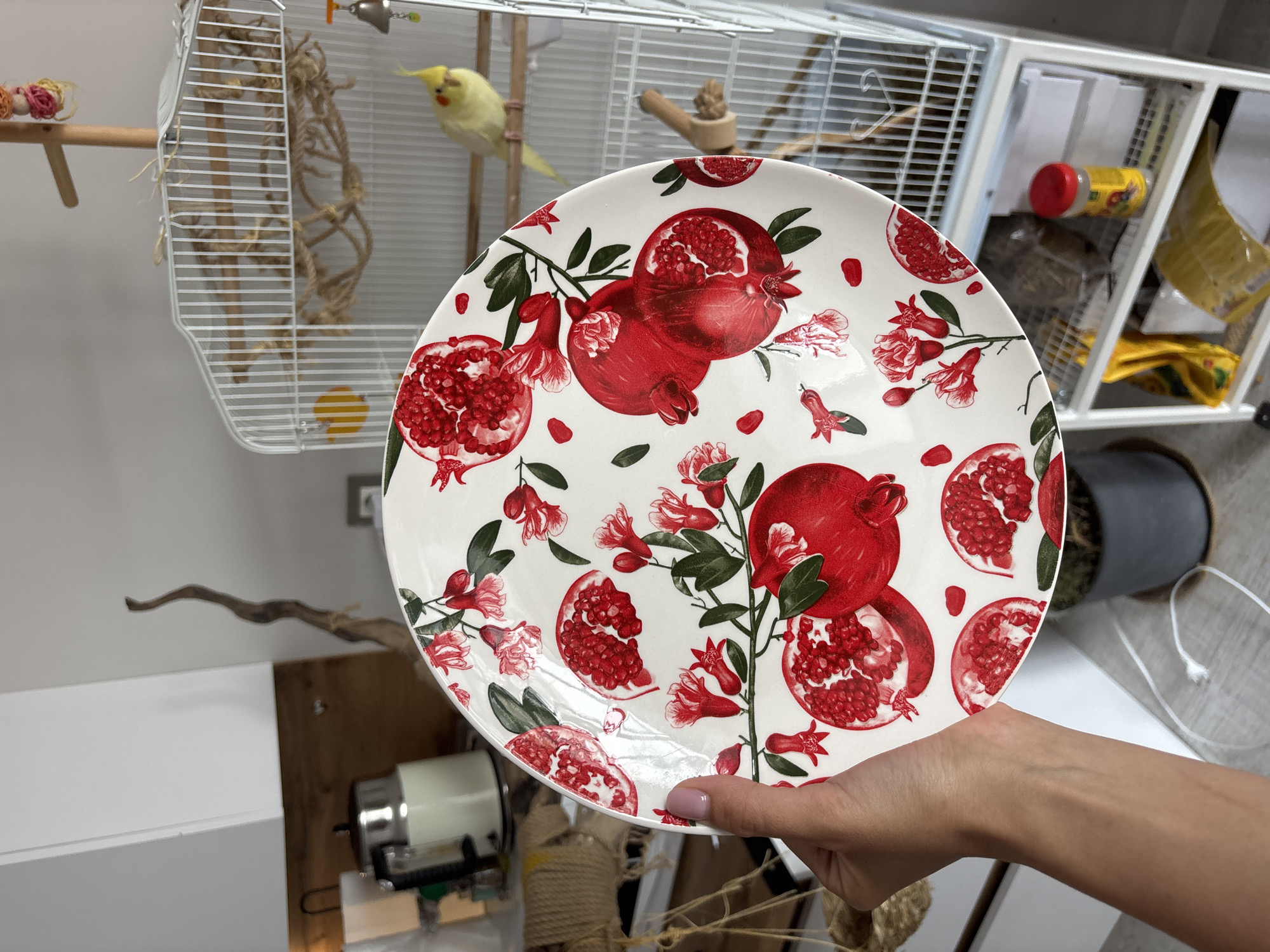 The image shows a person holding a white plate decorated with pomegranates and flowers. In the background, a cockatiel is perched inside a white birdcage. The scene appears to be indoors, with shelves and household items visible. There is no information in the image to suggest a specific location within the city of Krasnoyarsk, Russia, or any specific city.