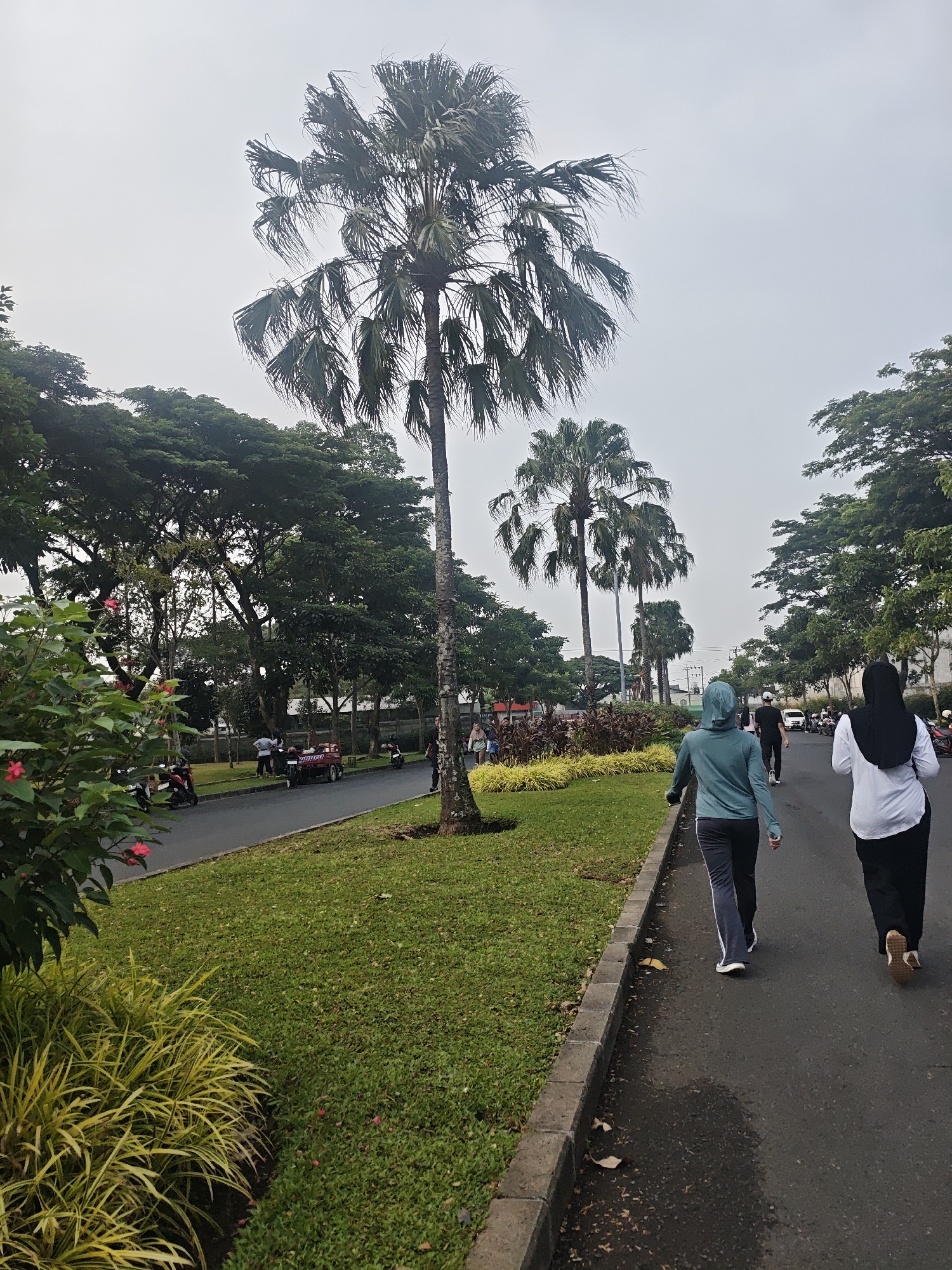 This is a full outdoor shot of a road in Bacin, Indonesia. The road is paved and has a sidewalk. On the sidewalk, two women are walking away from the camera. The woman on the left is wearing a teal hoodie and dark pants, while the woman on the right is wearing a white shirt and black pants with a black hijab. Both are wearing athletic shoes. Behind them, on the road, a man is jogging away from the camera, and other pedestrians and motorcyclists are visible in the distance. The left side of the road is lined with a grassy area with a variety of plants and trees, including several large palm trees. A few cars are visible on the road in the distance. The sky is overcast.