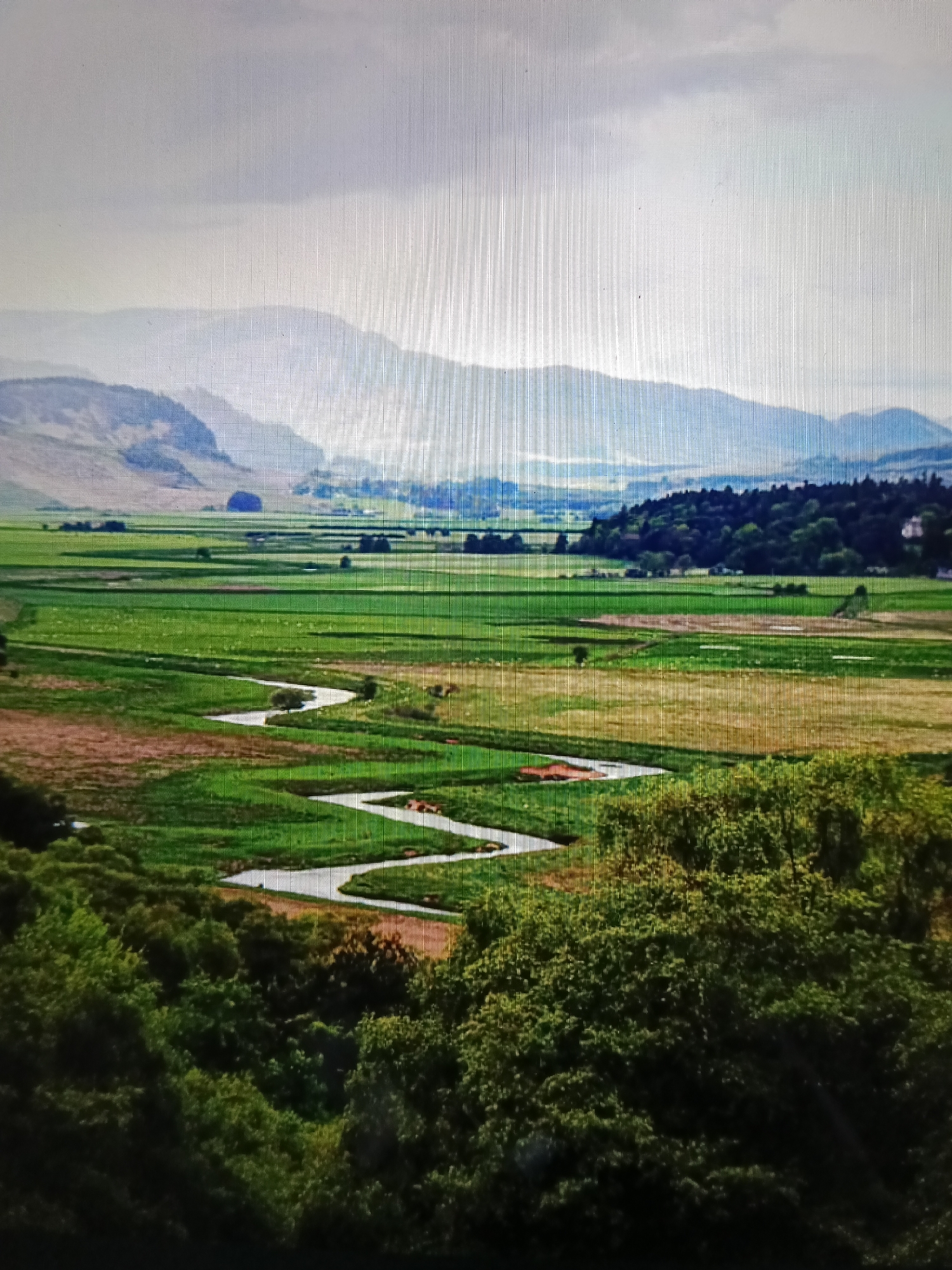 The image depicts a sprawling, verdant landscape under a cloudy sky. In the foreground, a dense cluster of dark green trees forms the bottom edge of the frame. Beyond the trees, a wide, winding river, appearing as a silver ribbon, snakes through a patchwork of bright green fields. These fields are segmented by darker green lines, suggesting pathways or smaller waterways. Further in the distance, rolling hills transition into hazy blue mountains that fade into the overcast sky. The overall impression is one of natural beauty and tranquility. The image is a photograph of a natural landscape. No elements within the image suggest a connection to the city of Raha, Indonesia.