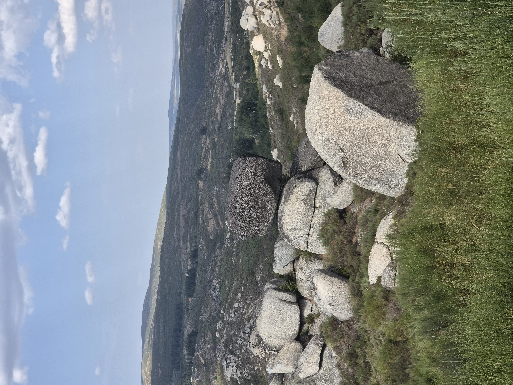 This image shows a landscape dominated by large, weathered granite boulders in a hilly terrain. The boulders are scattered across the scene, with some clustered together and others isolated. They vary in size and shape, from rounded to more angular forms. Green vegetation, including low-lying shrubs and tall grasses, grows around and between the rocks. In the background, rolling hills covered in sparse vegetation and patches of trees recede into the distance under a partially cloudy sky. The overall impression is one of a natural, rugged environment. The specific location is the Serra da Estrela Natural Park, near Gouveia, Portugal, known for its unique geological formations of these granite inselbergs. There are no people or animals visible in the image.