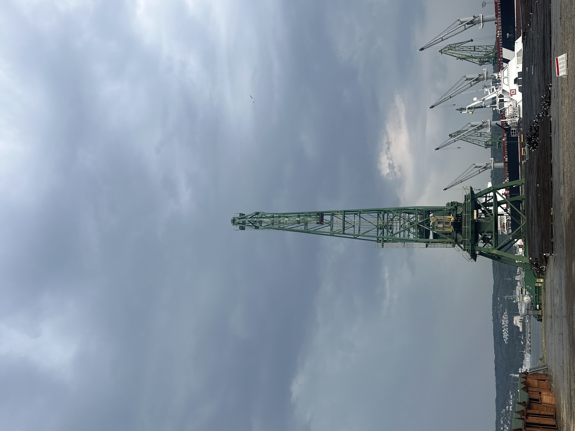 An image captured from a ground-level perspective shows a port scene under a cloudy sky. In the foreground, a tall, green gantry crane dominates the frame, its intricate lattice structure extending towards the overcast sky. To the left, a row of small, wooden structures with pointed roofs are lined up. In the mid-ground, a large cargo ship is docked, with several smaller cranes attached to its deck. Beyond the ship, a line of more green gantry cranes stands along the waterfront. In the distance, a densely wooded hill rises, with buildings visible on its slopes. The sea stretches out beyond the port. A solitary bird is visible flying in the sky. The ground in the foreground is paved with asphalt and scattered with bundles of dark, metallic rods. The overall atmosphere is one of industrial activity under a somber sky.