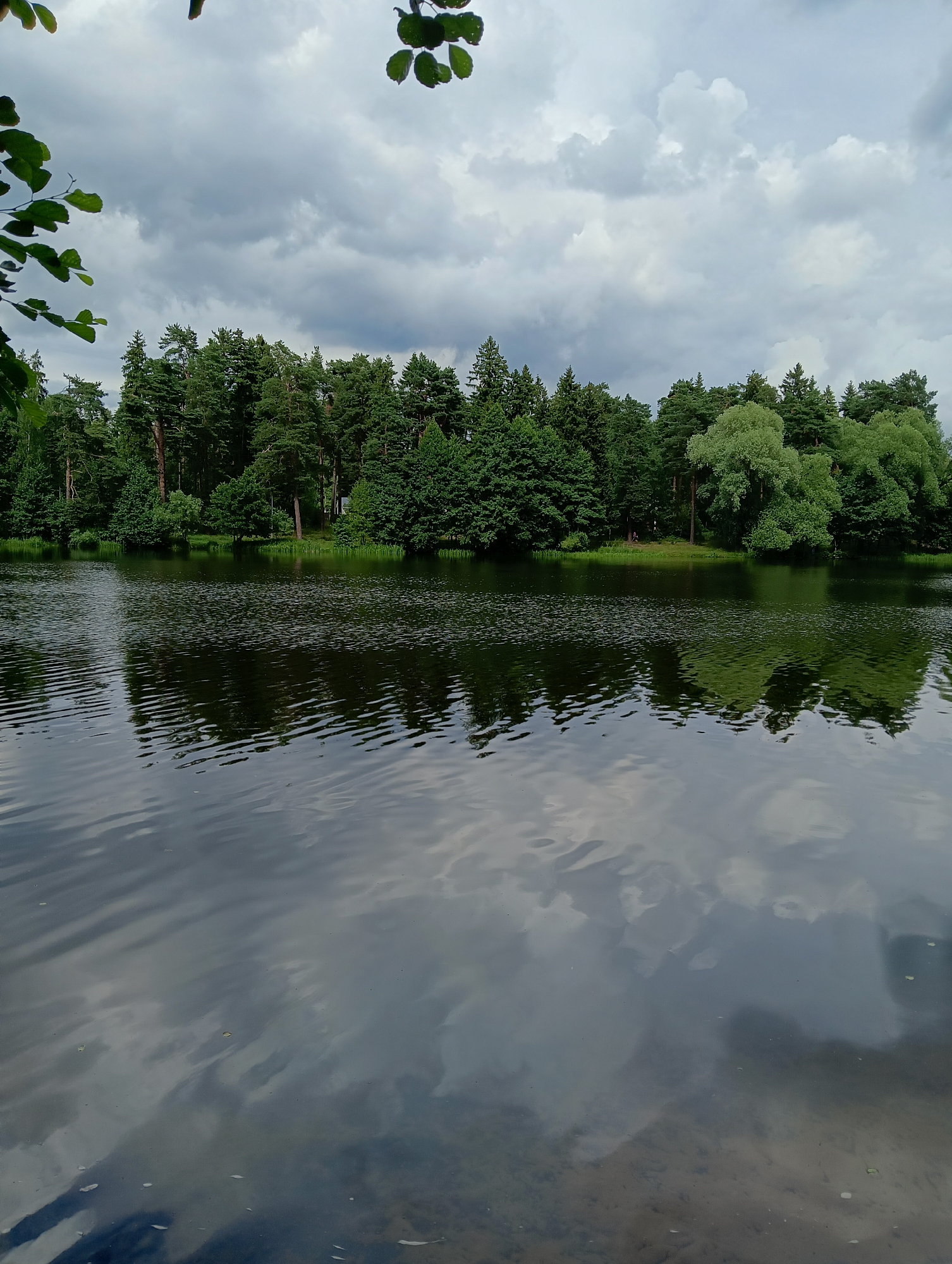 The image shows a serene natural scene by a body of water, likely a lake or river, in Kratovo, Russia. The foreground features the dark, reflective surface of the water, disturbed by gentle ripples that create distorted reflections of the sky and trees. The water is relatively shallow near the bottom right, revealing a sandy or silty bed.
Dominating the midground is a lush, dense forest lining the opposite bank. The trees are a mix of tall pines and broader deciduous trees, creating a varied green canopy that stretches across the horizon. The foliage is thick, with varying shades of green indicating different species and their density. Some of the pine trees stand out with their tall, straight trunks.
The sky above is overcast with heavy, grey clouds, suggesting a potentially gloomy or rainy day, though the overall light is diffused. The clouds are reflected in the water, adding to the somber mood of the scene. In the far distance, nestled within the trees on the bank, a small, light-colored structure, possibly a building or gazebo, is barely visible. A couple of small human figures can be observed in the distance on the shore, near the trees, appearing to be either sitting or standing. The overall impression is one of natural tranquility, characteristic of a park or a quiet natural reserve.