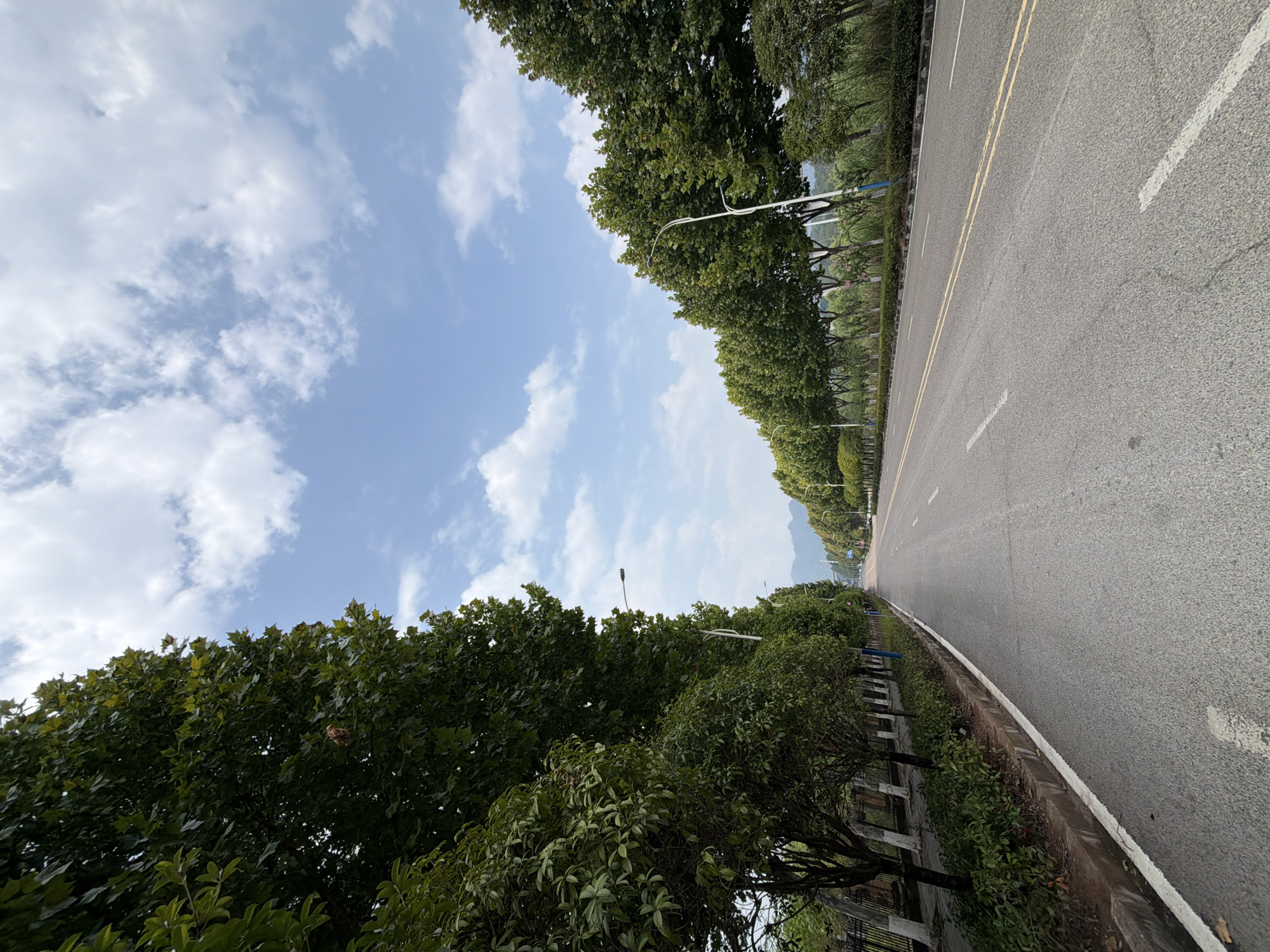 A wide, empty, asphalt road stretches into the distance under a bright blue sky with scattered white clouds. The road is bordered on both sides by lush green trees, many of which appear to be mature and well-maintained. Streetlights are visible along the right side of the road, spaced at regular intervals. In the distance, mountains can be seen forming the horizon. The overall impression is one of a well-kept, semi-rural or suburban road in a city like Jiangjin, China, given the dense tree-lined avenues and the presence of mountains in the background, indicative of the region's geography. There are no people or vehicles visible in the image, suggesting a quiet, possibly early morning or late afternoon scene.