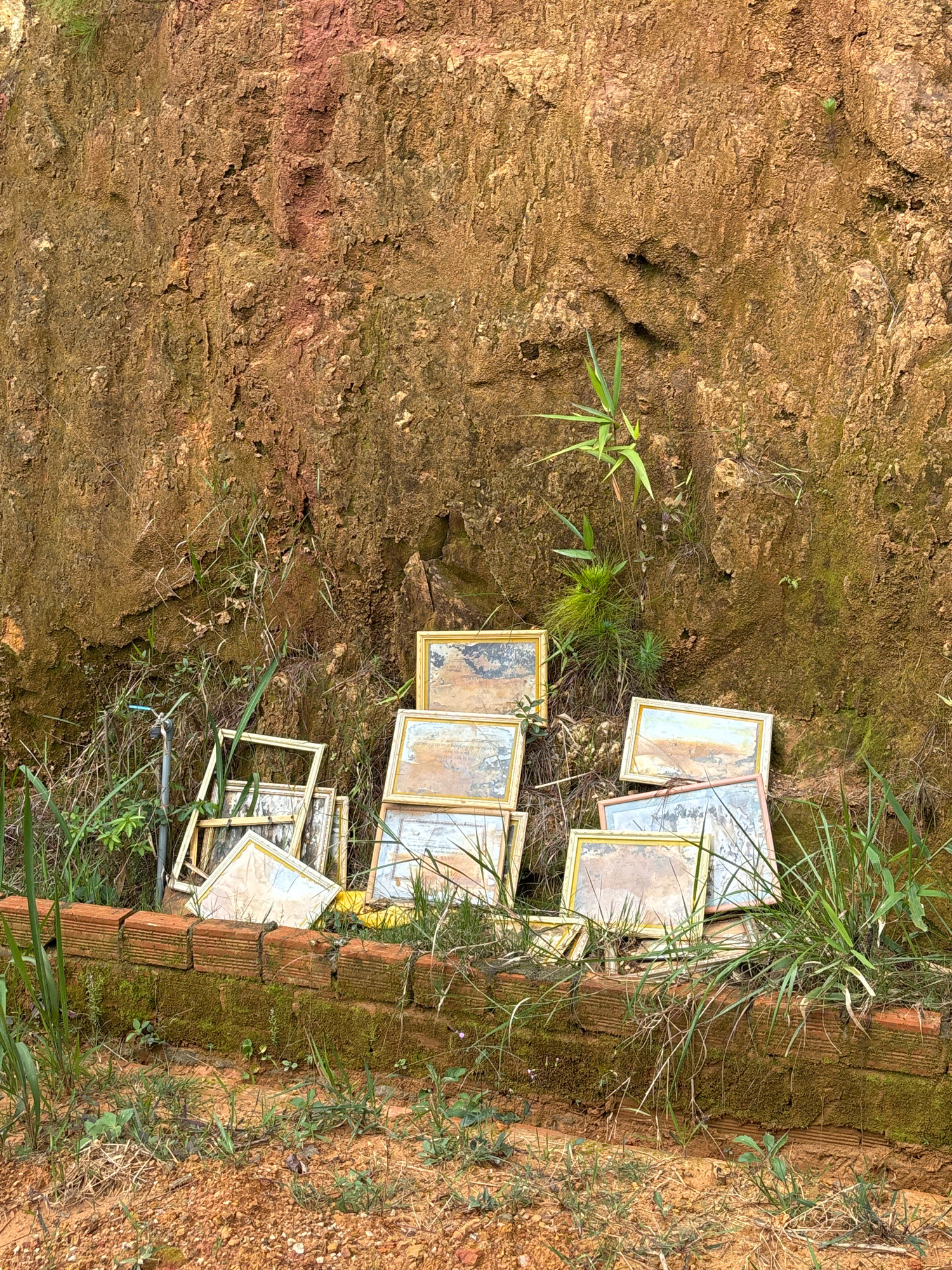 A collection of framed pictures is leaning against a dirt embankment. The embankment is composed of brown and reddish soil with some patches of green moss and vegetation. In the foreground, there is a low wall made of red bricks, also covered in moss. Grass and weeds grow around the wall and among the frames. The frames are of various sizes and appear to be made of gold-colored material. Some of the pictures inside the frames are visible, showing what look like landscape scenes. The overall impression is one of neglect and disarray, as if the pictures have been discarded or left to decay. The scene is outdoors, with natural light suggesting it is daytime.