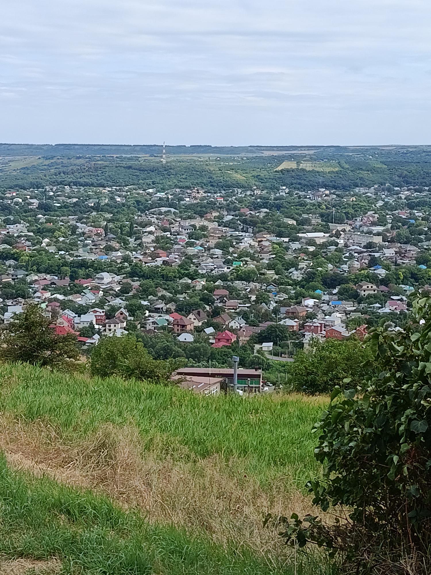 This is a high-angle, wide shot taken on an overcast day overlooking a sprawling, densely populated residential area surrounded by lush green trees and hills. The foreground features a grassy slope with some patches of dry, brown grass, and a dense green bush on the right. The middle ground is a vast expanse of houses with a variety of roof colors, including red, grey, white, and blue, interspersed with numerous trees. In the distance, a large industrial-looking building with a red roof is visible, along with a telecommunications tower on a distant hilltop. The overall impression is one of a heavily wooded urban or semi-urban settlement.