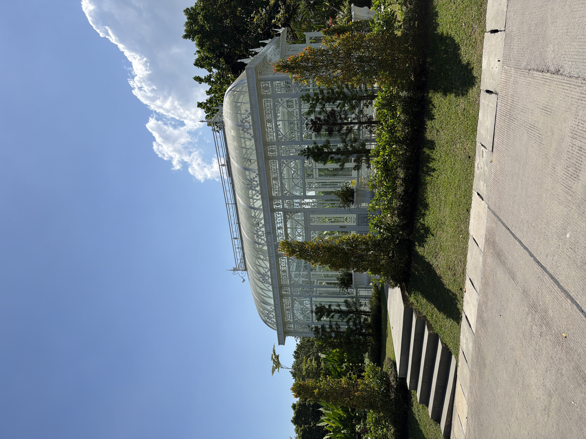 The image depicts a white greenhouse structure with ornate detailing, situated in a lush, green garden. The greenhouse has a glass roof and walls, allowing sunlight to filter through. It is surrounded by various plants, including tall, slender trees in the foreground and a dense variety of foliage in the background. A paved walkway with a set of concrete stairs leads up to the greenhouse. The sky above is a clear blue, with a few fluffy white clouds. The scene appears to be an outdoor botanical garden or park. While the image is presented with the context of Kediri, Indonesia, there are no specific visual cues in the image itself that definitively place it in that location, such as signage, distinctive architecture, or specific flora unique to the region.