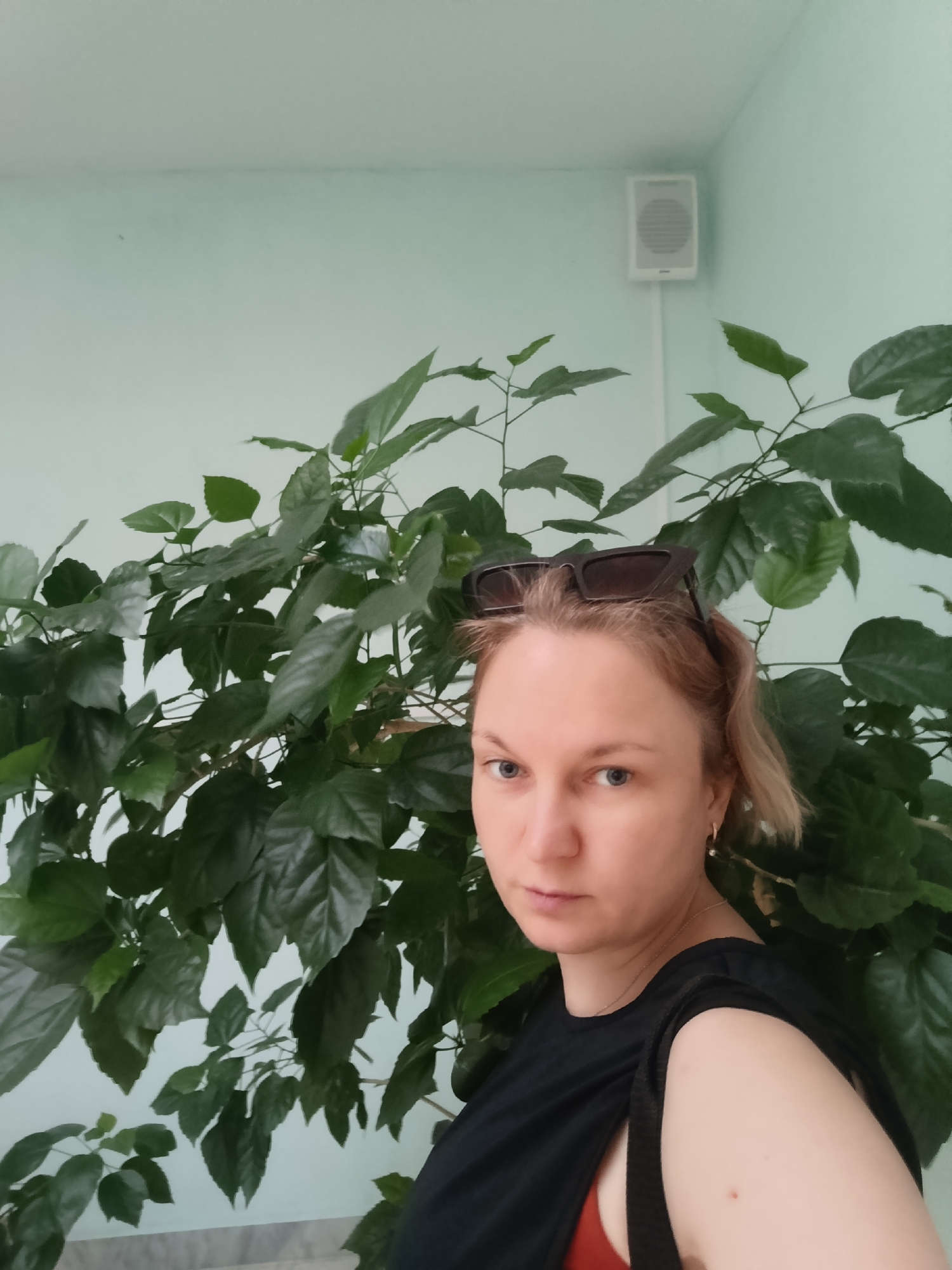 A close-up, portrait-oriented photograph captures a woman in an indoor setting, likely in Markovskii, Russia. The woman, with blonde hair and light blue eyes, is positioned slightly to the right, looking directly at the camera with a neutral to serious expression. She wears sunglasses pushed up onto her head and a black top, with a hint of a red garment visible underneath. Small hoop earrings with pearl-like beads and a thin gold necklace are also visible.
Behind her, a large, dense green houseplant with numerous broad leaves fills most of the left and center background, providing a natural, lush backdrop. The walls of the room are painted a light greenish-blue. In the upper right corner of the frame, a white, rectangular speaker is mounted on the wall, suggesting an installed audio system. The lighting appears to be natural daylight, although no direct light source is visible. The image is a straightforward portrait taken in what appears to be a communal or institutional indoor space.