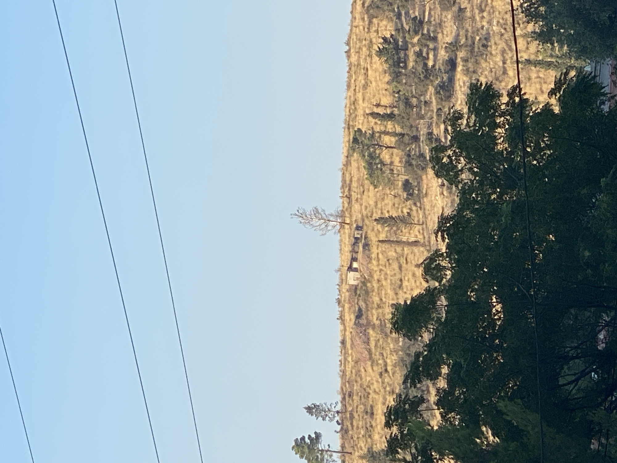 The image depicts a rural hillside landscape under a clear blue sky, with visible power lines running horizontally across the upper portion of the frame. The hillside is covered in dry, golden-brown grass and scattered trees, some of which are coniferous and others appear bare or dead. Several small, weathered structures, possibly sheds or remnants of buildings, are situated on the upper part of the hill. In the foreground, a dense cluster of dark green foliage from trees obscures the lower part of the scene. The overall impression is of a sun-drenched, arid environment. The specific location is identified as Zgrade, Montenegro.