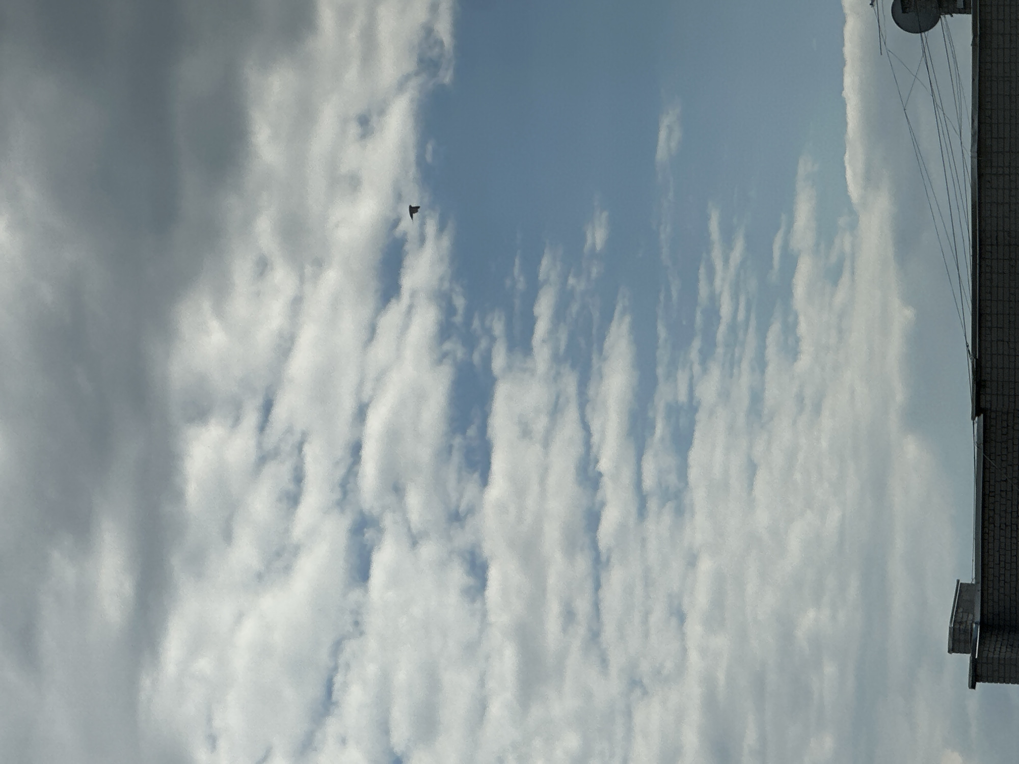 The image shows a view of the sky with clouds. A single bird is visible in flight against the blue sky and white clouds. In the upper right corner of the image, a portion of a building is visible, including a brick wall and some electrical wires. The lighting suggests it is daytime, and the presence of clouds indicates a partly cloudy day. The image is oriented vertically. No text is visible in the image.