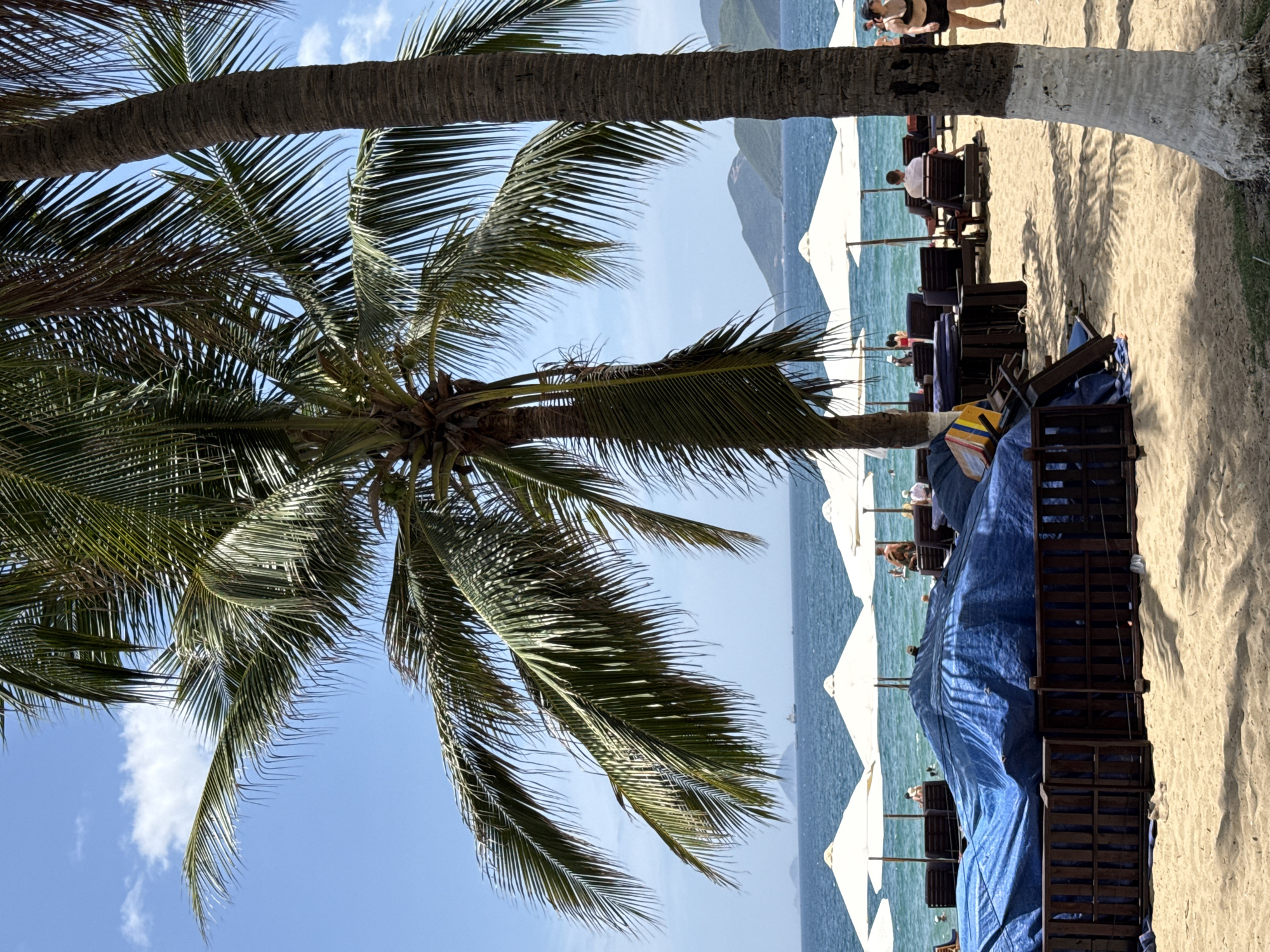 The image depicts a sandy beach with palm trees in the foreground, overlooking the sea under a clear blue sky with scattered clouds. Several white beach umbrellas are set up, providing shade for lounge chairs where a few people are seated. In the middle ground, a large portion of the beach is covered by a blue tarp, supported by a wooden barrier, suggesting some form of construction or storage. The sea stretches to the horizon, with a ship visible in the distance. Gentle waves are visible near the shore, where a few people are wading or swimming. The overall impression is a relaxed beach scene, possibly at a resort in Nha Trang, Vietnam, given the tropical vegetation and coastal setting.