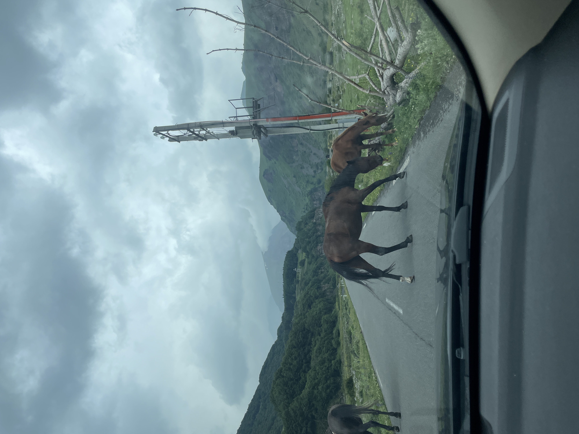 The image depicts a scenic view from a vehicle looking out at a road with several horses present. The horses are brown and dark brown, with one dark brown horse in the foreground walking across the road, and another brown horse to its right grazing on the grassy verge. A third dark brown horse is visible further down the road on the left. The road is paved and runs through a mountainous landscape with lush green trees covering the slopes. The sky is overcast with heavy, grey clouds, suggesting a potentially rainy or moody atmosphere. A utility pole with electrical equipment stands prominently on the right side of the road, and fallen tree branches are scattered on the grass nearby. The foreground shows the interior of a car, including the dashboard and windshield. The location is identified as Gergeti, Georgia.