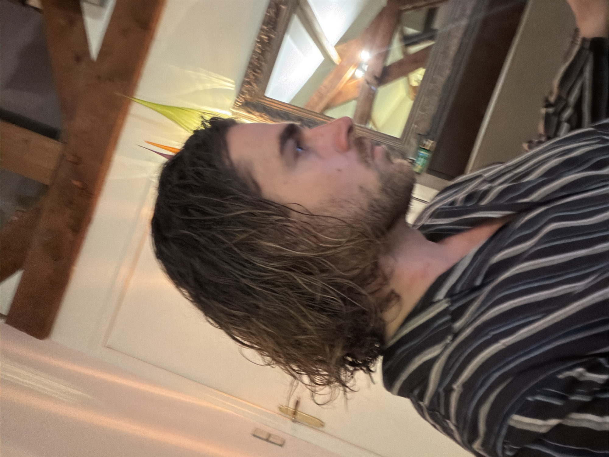 A medium shot captures a person in profile, facing left, within an interior setting. The person has dark, shoulder-length hair, a beard, and wears a striped shirt. Behind them, a mirror reflects a ceiling with exposed wooden beams, suggesting an attic or upper-level space. A white wall is also visible in the background, partially illuminated with soft, warm light. A decorative object with green and orange elements protrudes from the upper left corner of the frame. A door with a gold colored handle is partially visible along the bottom of the image. The setting, with its exposed beams and the mirror, might be within a residential building in Paris, France.