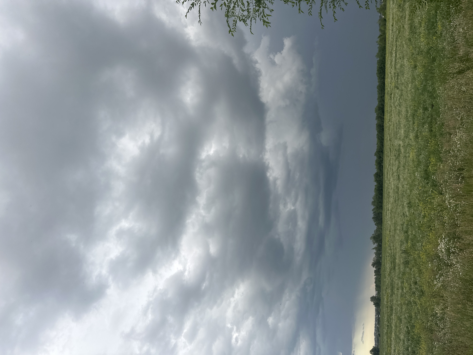 This media file depicts an outdoor scene with a dramatic sky and a vast green field. The sky is filled with dark, heavy storm clouds, suggesting an approaching or ongoing weather event. The clouds are varied in texture and shading, with some areas appearing lighter where the sun might be attempting to break through.
In the foreground, on the right side of the image, is a wide expanse of green grass, dotted with small white wildflowers. The field extends horizontally across the frame, creating a strong visual line that meets the treeline in the distance. A dense line of trees forms a dark border separating the field from the sky and the distant landscape. The overall impression of the scene is one of nature's power and the vastness of the open space.
The time of day appears to be late afternoon or early evening, given the quality of light filtering through the clouds and the muted tones of the landscape. The weather is clearly inclement, with the heavy cloud cover indicating a strong possibility of rain or a storm.
There is no visible text in the image. The location context provided places this scene in the Zarechny Rural District of Kazakhstan. The emotion evoked is one of awe at the natural spectacle of the stormy sky and the tranquility of the expansive field.