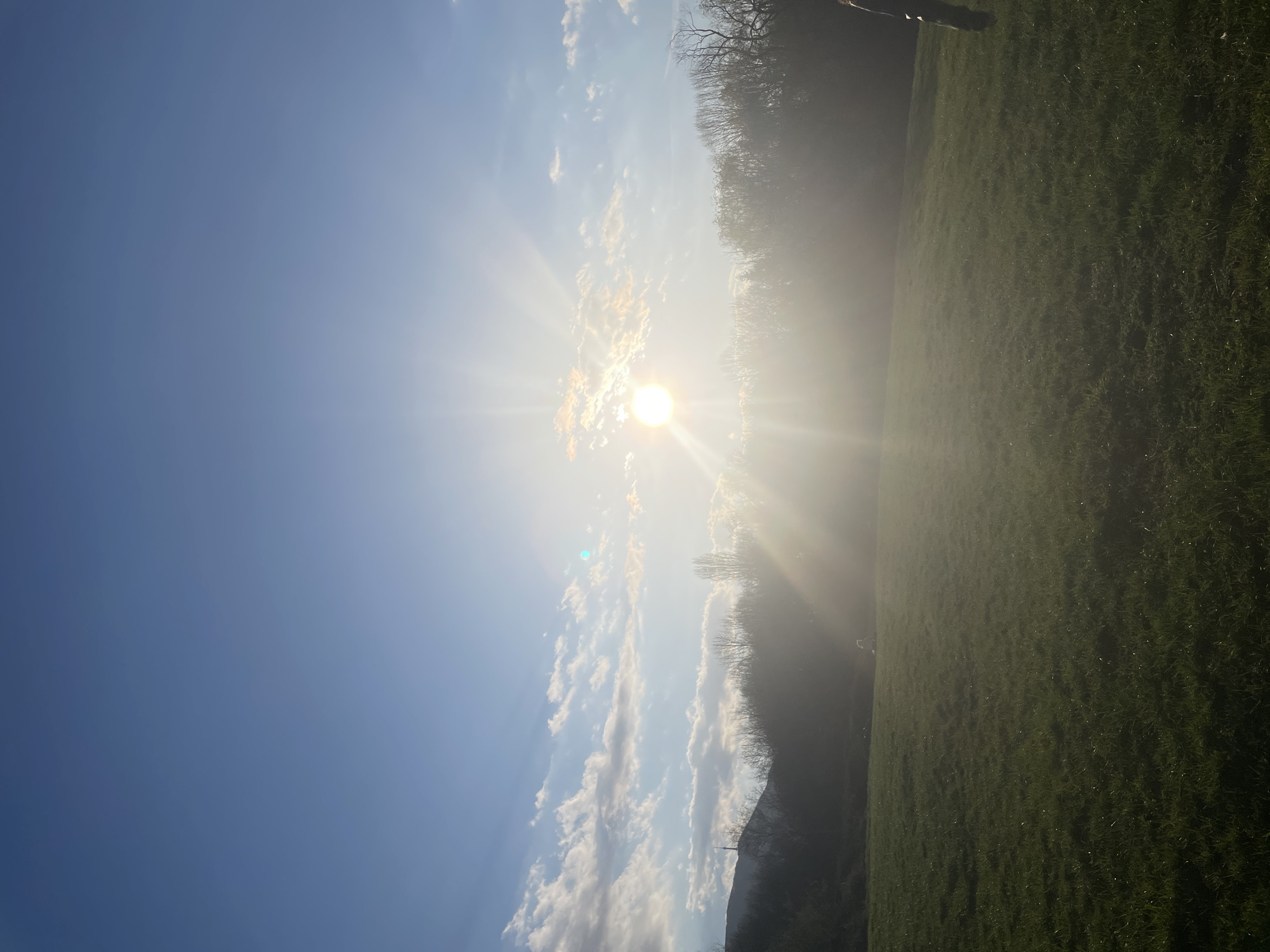 A landscape photograph shows a bright, sunny day, potentially captured near Sofia, Bulgaria, though location is not definite from the image alone. A vibrant green field fills the right side of the image, possibly a park or open space. To the left of the field, a line of trees or a small forest is visible. The sky occupies the majority of the frame, transitioning from a clear blue on the left to a brighter area where the sun is positioned. Thin, wispy clouds are scattered around the sun. Due to the bright sunlight, details within the field and the trees are somewhat obscured. A human figure is partially visible at the top right corner of the image.