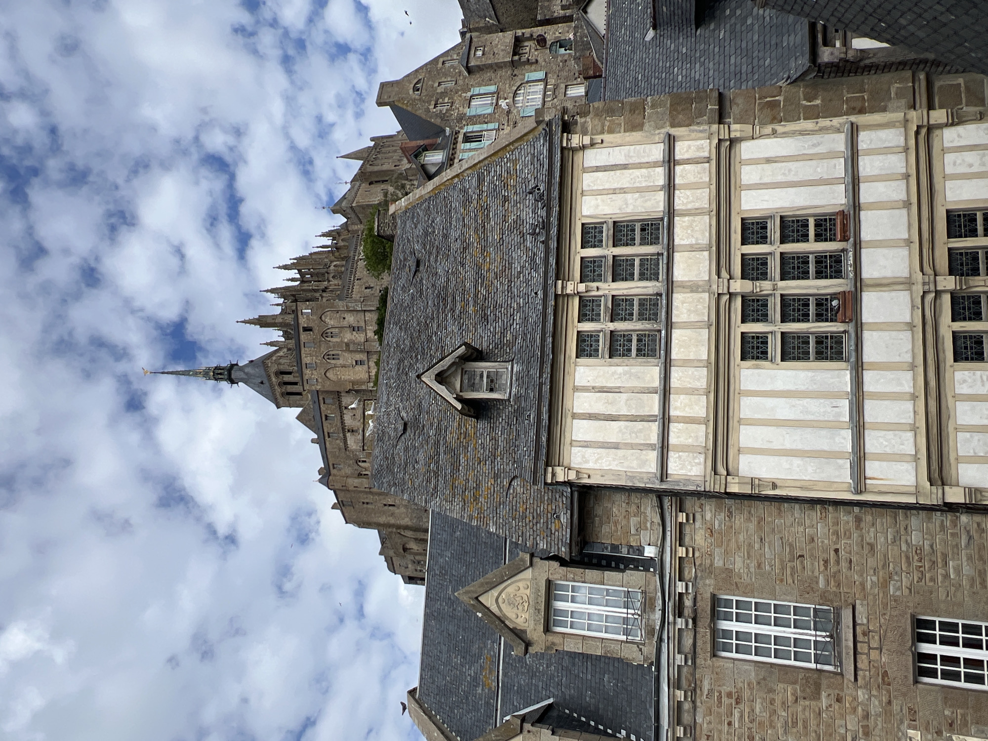The image captures a view of Le Mont-Saint-Michel, France, showcasing its iconic abbey perched atop a hill. In the foreground, a stone building with a traditional half-timbered facade and a steeply pitched, grey tiled roof dominates the scene. This building features multiple windows with small, square panes, and decorative white trim. To the left, another stone building with a similar tiled roof and large, multi-paned windows is visible. The abbey, with its spires and gothic architecture, rises majestically in the background against a partly cloudy sky. Several birds, likely seagulls, are perched on rooftops and flying in the sky. The overall impression is one of historical architecture and a picturesque coastal landscape.
