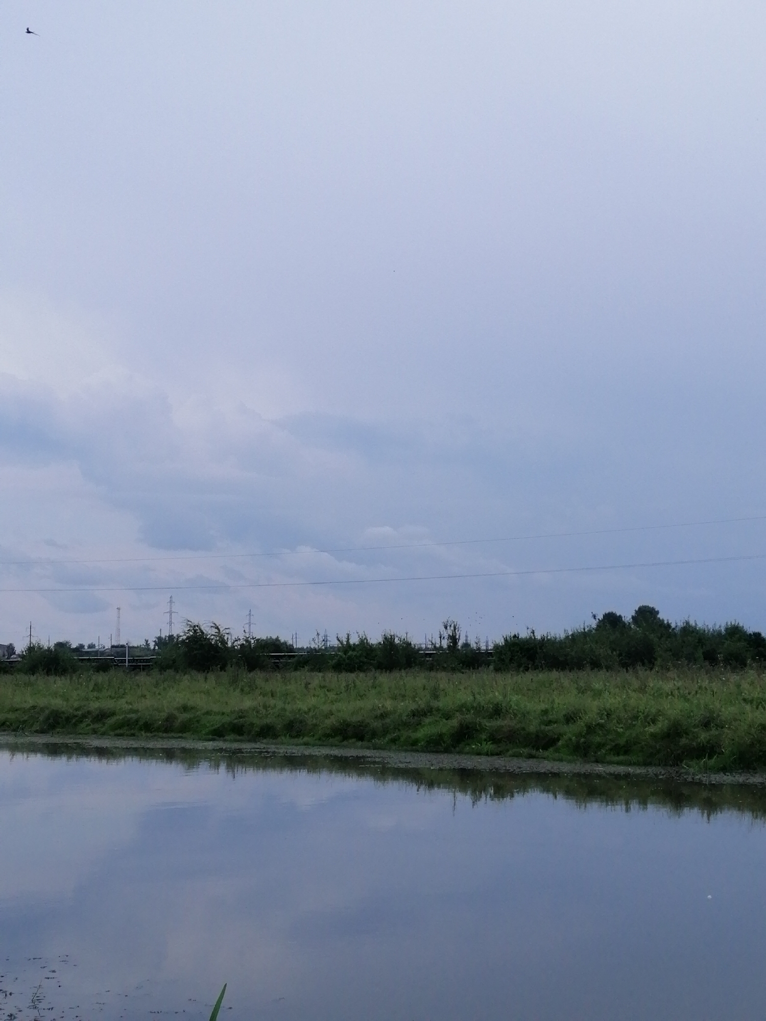 The image depicts an overcast sky over a body of water, likely a river or pond, in the city of Krasnoluka, Ukraine. The water's surface reflects the muted sky and a line of dense green vegetation and trees that borders it. In the background, several power line towers and some industrial structures are visible, suggesting proximity to a populated or industrial area. A single bird is silhouetted against the sky in the upper left quadrant. The scene is serene and devoid of human activity.