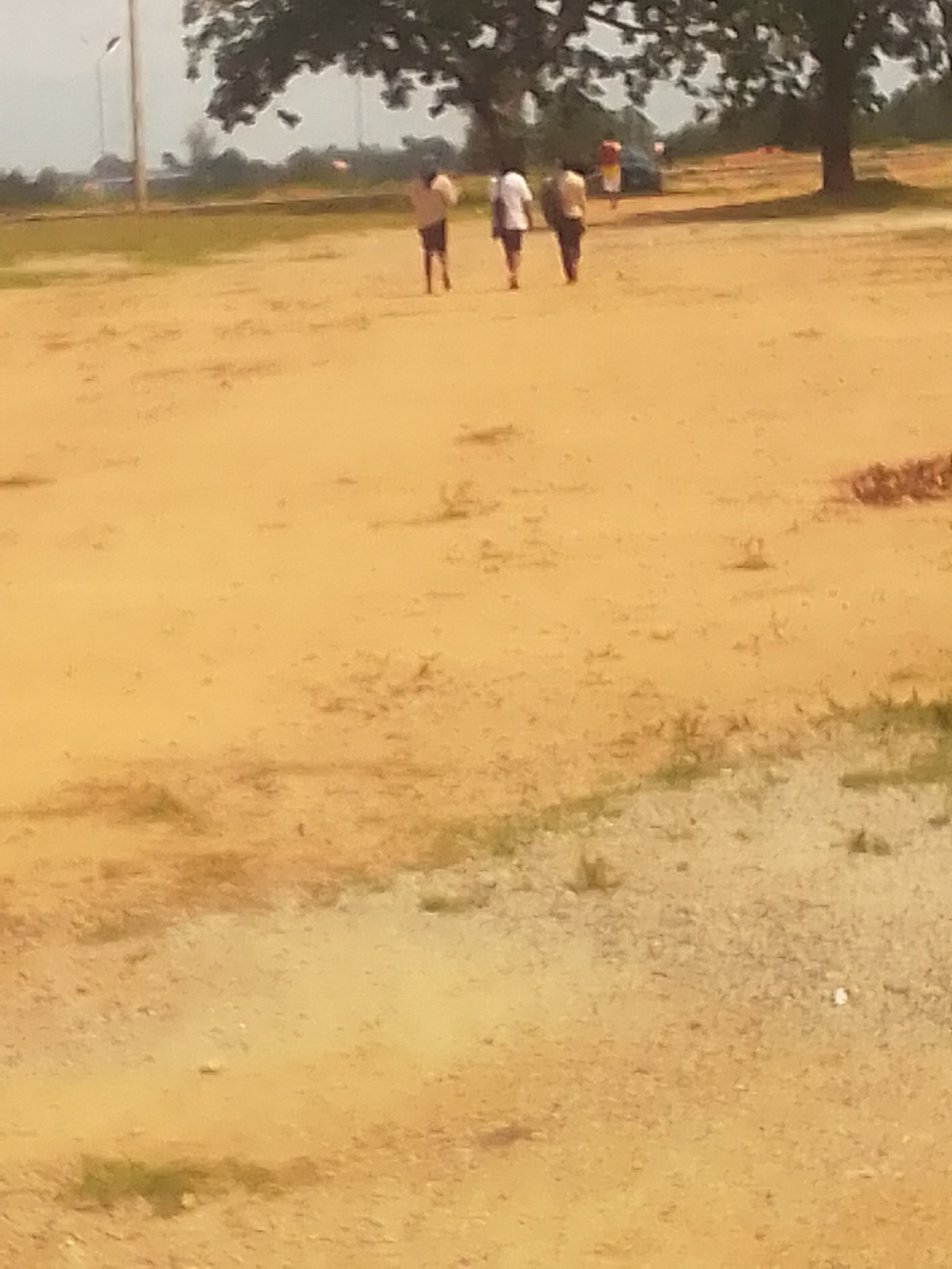 Three individuals are walking away from the camera across a dirt field in Kachia, Nigeria. The person in the foreground on the left wears a white shirt and dark shorts. To their right, another person wears a light-colored shirt and dark pants. Further to the right and slightly behind, a third person is visible in a light-colored shirt and dark pants. A large tree with dark green foliage is on the right side of the frame, with its trunk partially visible. In the background, there are additional trees and what appear to be light poles. The ground is a dry, sandy-colored dirt with scattered patches of dry grass and small stones. The sky is overcast and a pale gray.