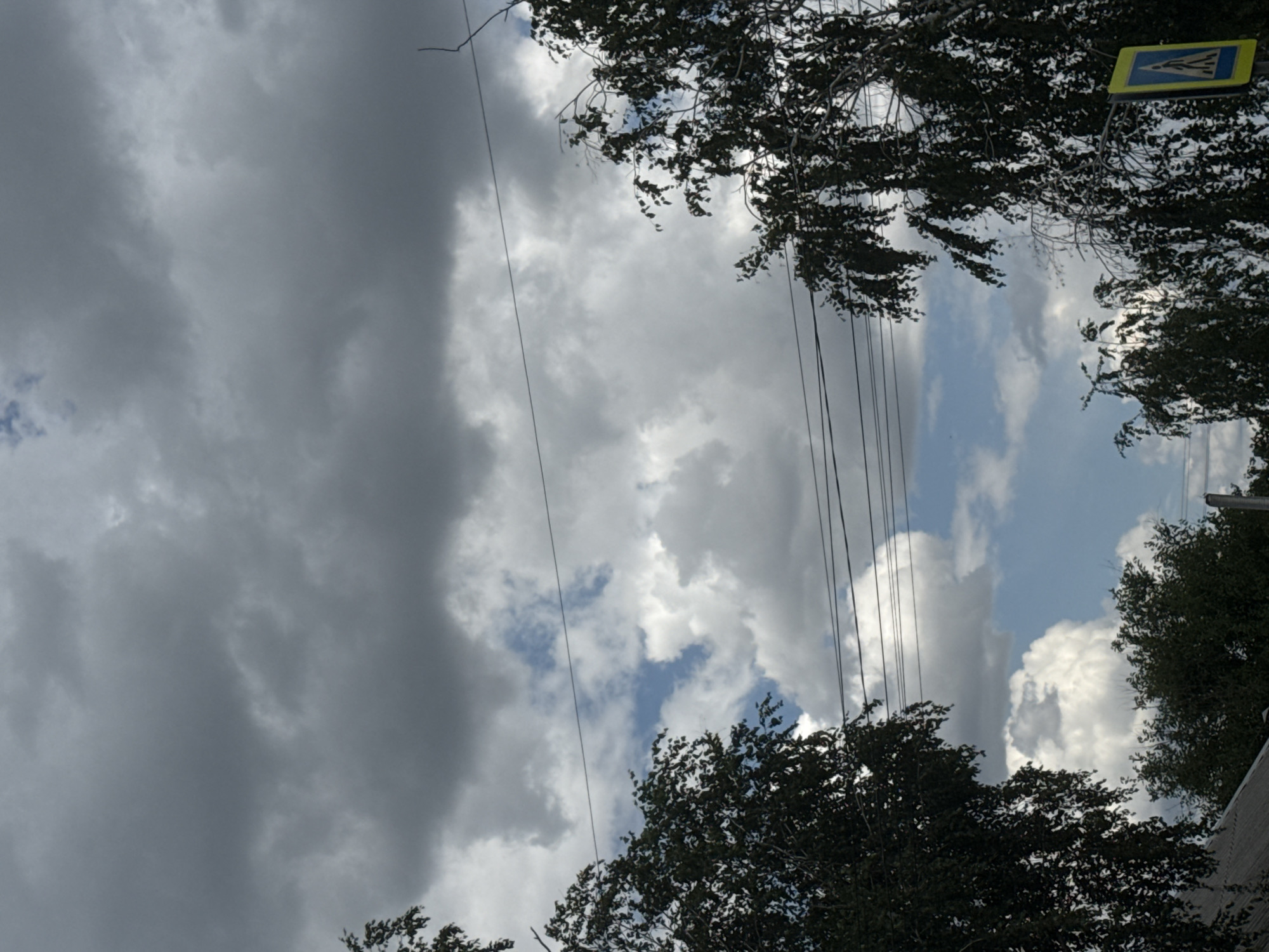 The image depicts an outdoor scene in Shulhynka, Ukraine, on a cloudy day with patches of blue sky visible. In the foreground, on the left, is the dark green foliage of a tree, with its branches extending upwards and to the right. A similar tree with dark green leaves and bare branches is on the right side of the frame, obscuring part of the sky and a portion of a yellow and blue pedestrian crossing sign. Multiple power lines crisscross the sky, some appearing taut and others slack. In the distance, more trees are visible, along with a portion of a gray roof. The clouds in the sky are varied, with large, dark gray storm clouds dominating the upper portion of the image, juxtaposed with lighter, fluffy white clouds scattered across the sky.
