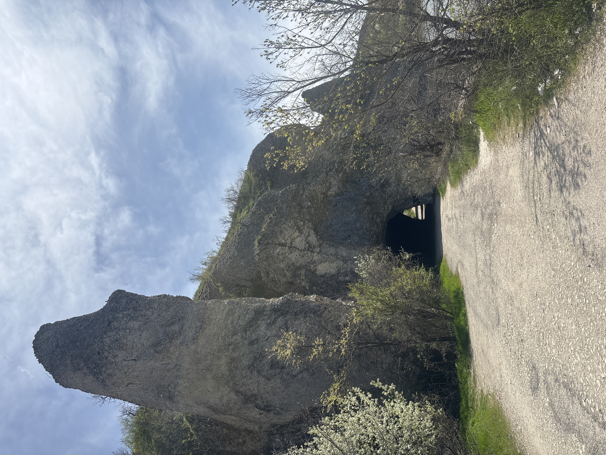 This vertical-oriented image captures a serene outdoor landscape in Asparuhovo, Bulgaria, featuring prominent natural rock formations and a paved path. The scene is dominated by large, weathered grey rocks that rise on the left and through the center of the frame, partially covered with sparse vegetation. One distinct rock formation in the lower-left foreground has a unique, somewhat elongated shape, visible against the sky.
A narrow, paved road or path extends from the mid-right foreground, curving gently towards a dark, arch-like opening in the rock face in the center-right, suggesting a tunnel or cave entrance. Light is visible at the far end of this opening, hinting at its passage through the rock.
Various trees and bushes dot the landscape. Some trees have bare branches, while others display clusters of newly budding light-green leaves, indicating the season is likely spring. A prominent bush with delicate white blossoms is visible in the lower foreground. Green grass lines parts of the paved path.
The sky above is bright and partly cloudy, with scattered, wispy white clouds against a pale blue backdrop, suggesting clear and pleasant daytime weather. The light appears soft, possibly indicating morning or late afternoon. No people or visible text are present in the image.